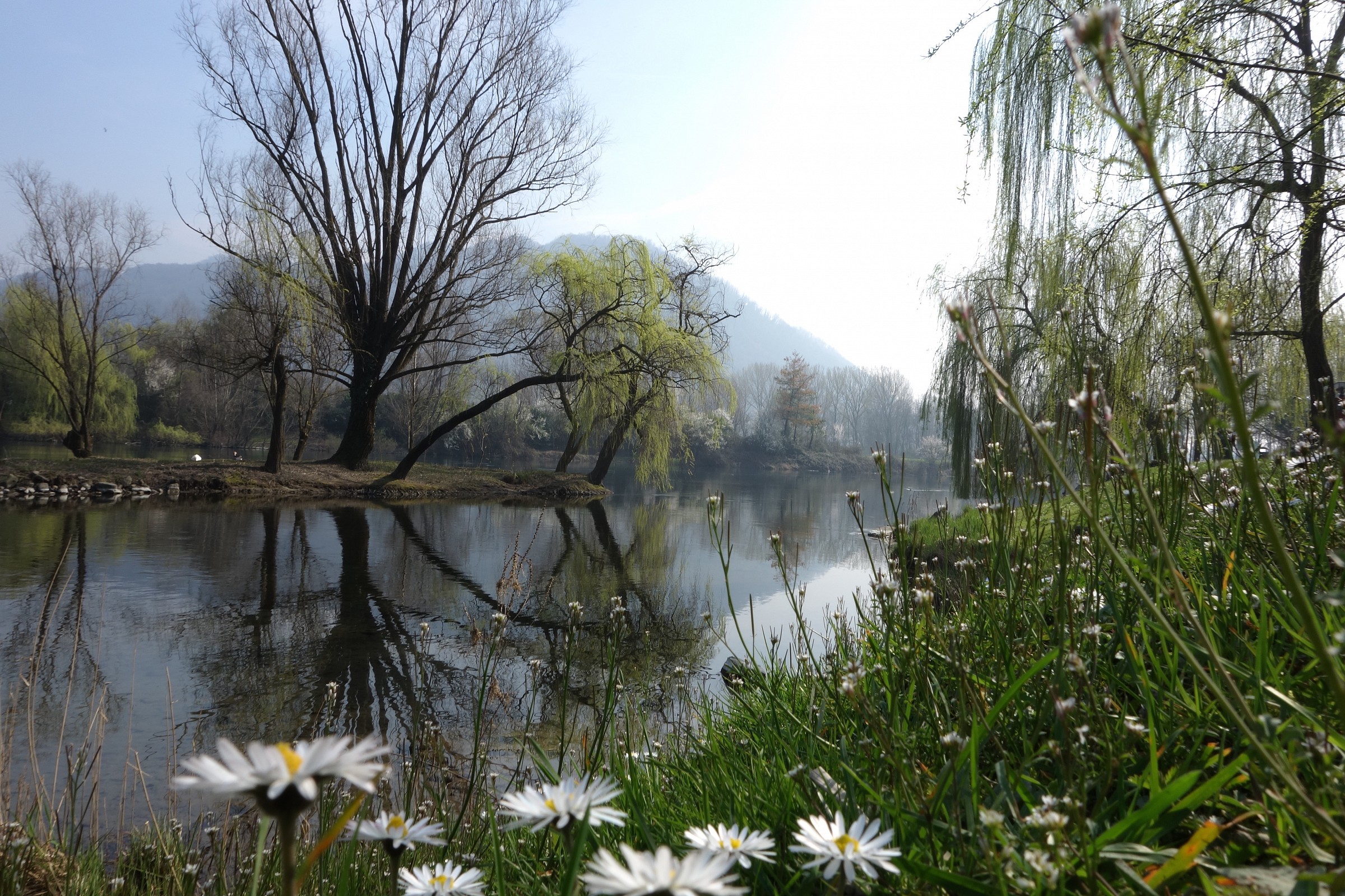 Isolotto di Brivio, inizio di primavera
