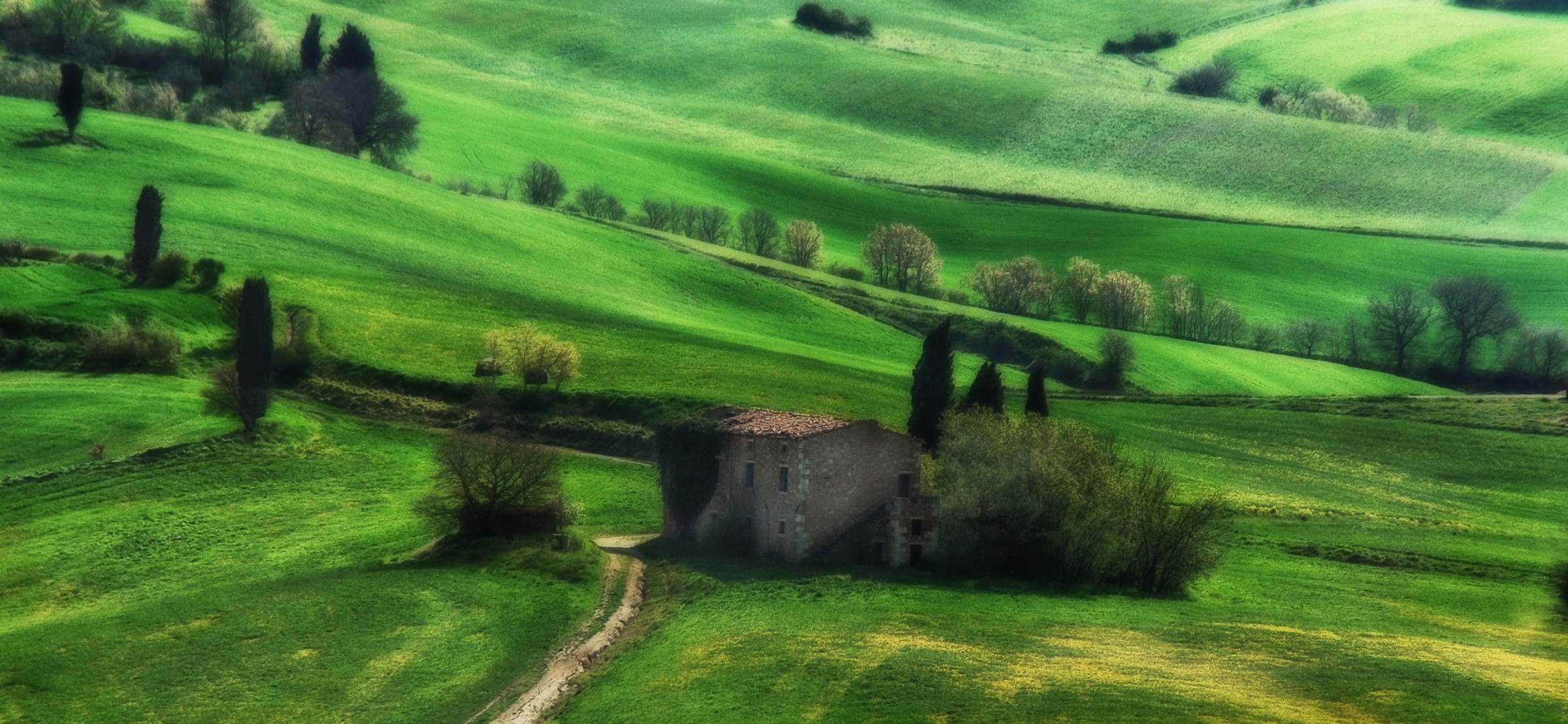 morbide colline toscane