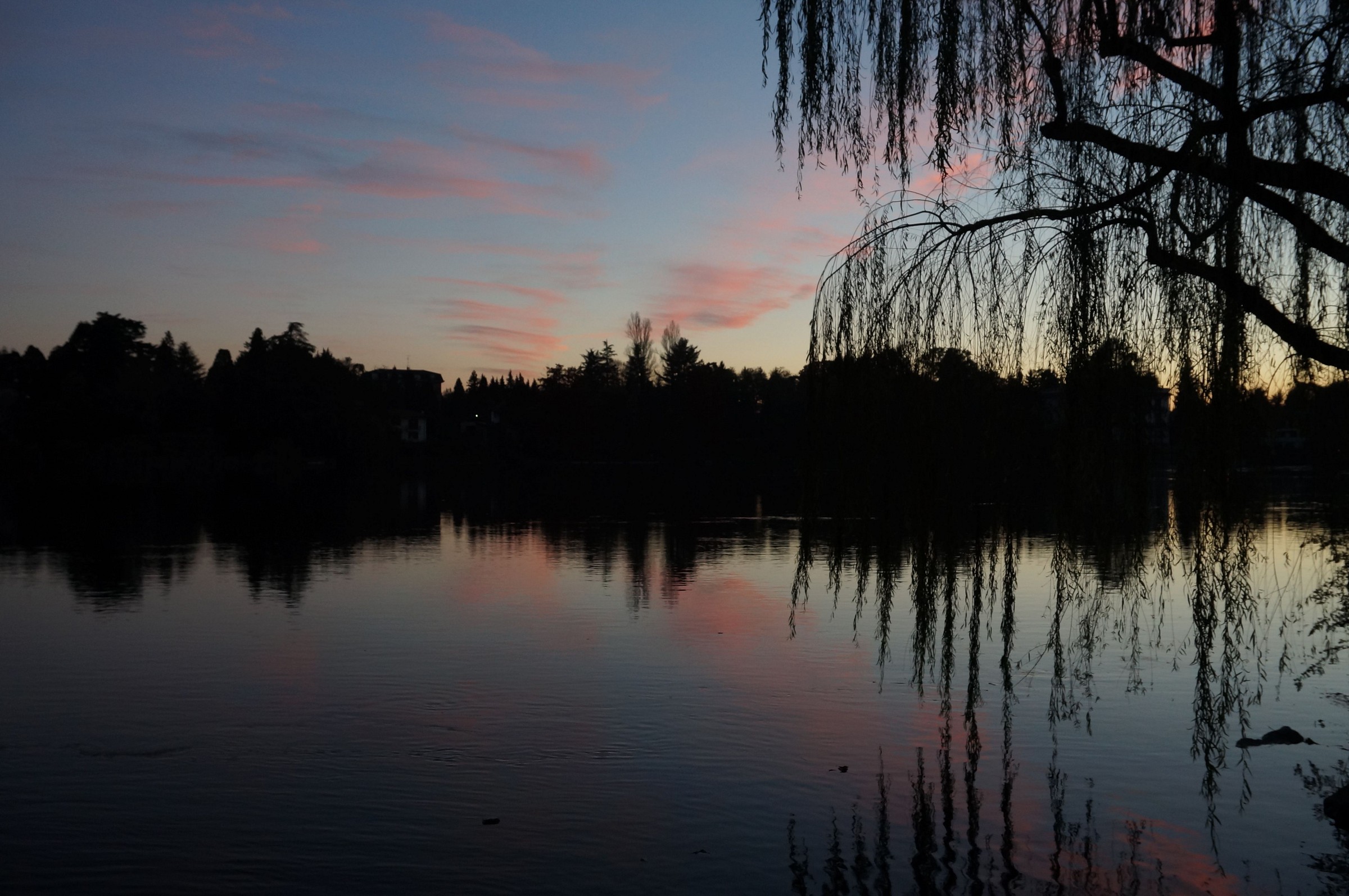 Venerdì 7 novembre 2014, h 17.18