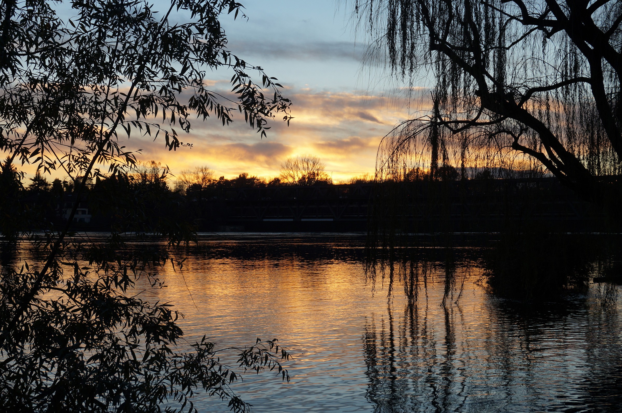 Martedì 18 novembre 2014, h 16.52