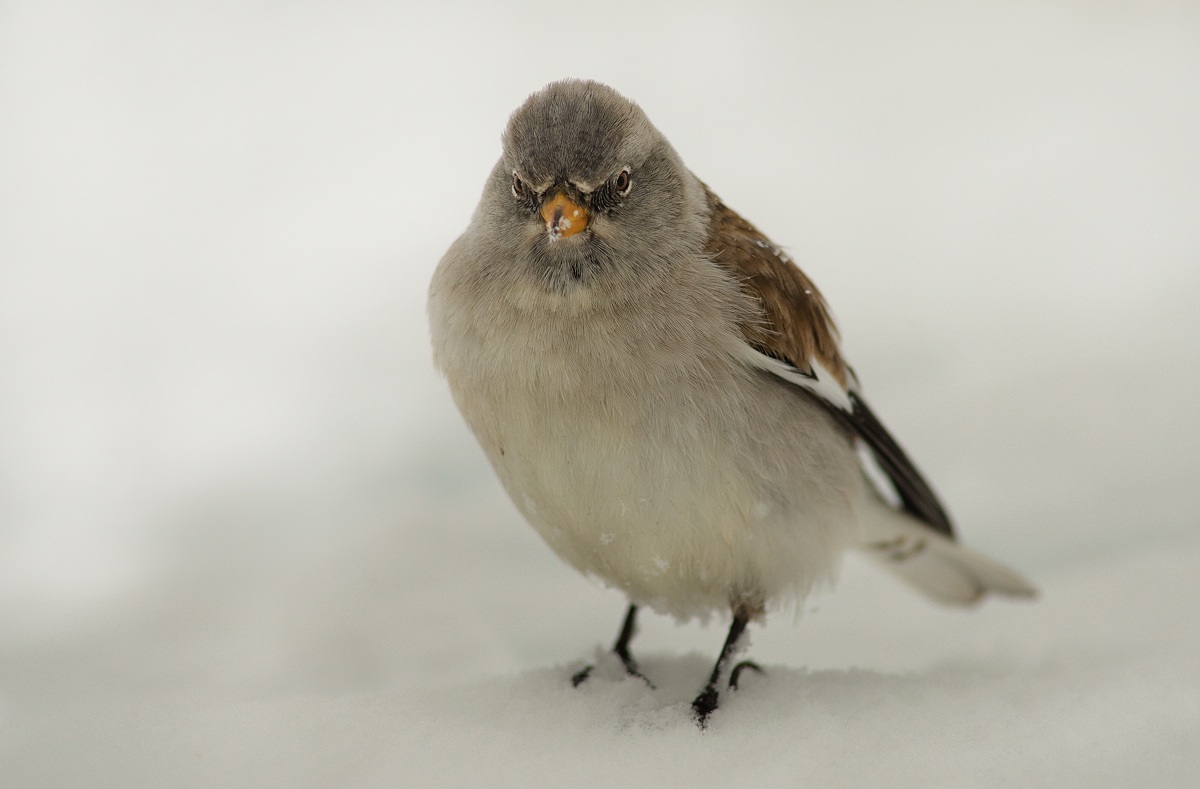 ... And then I lose my temper!