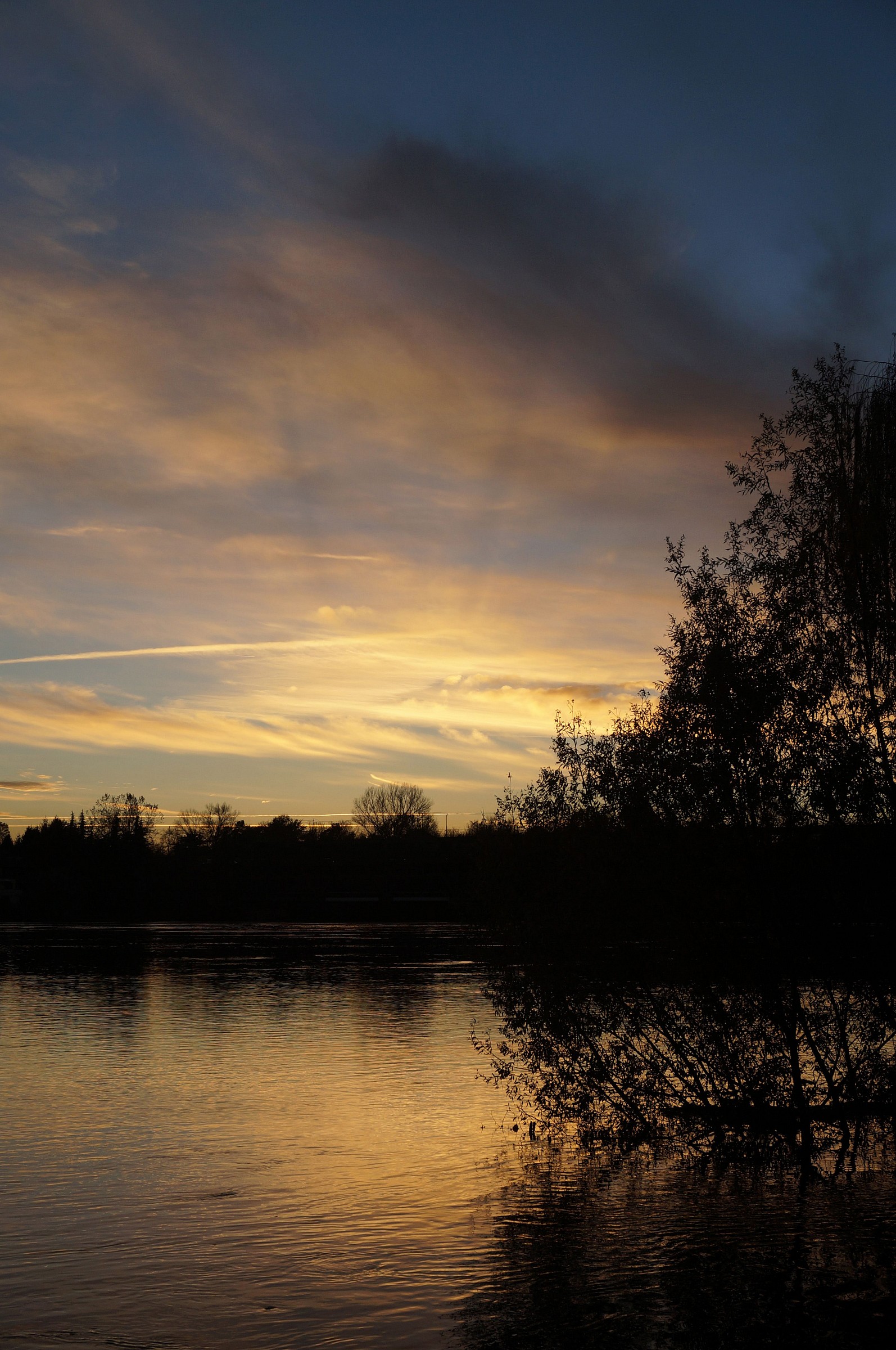 Mercoledì 19 novembre 2014, h 16.53