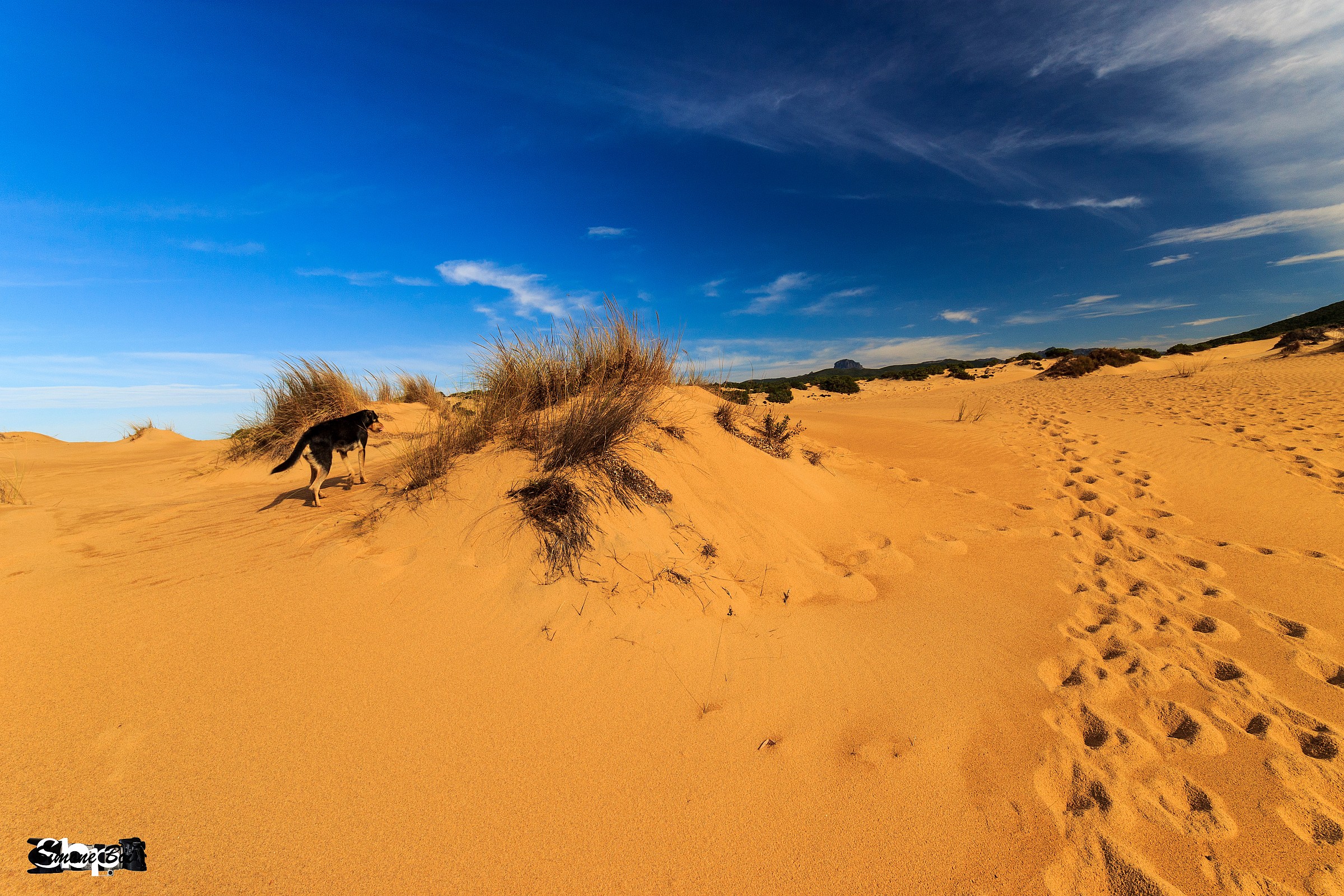 Il cammino è ancora lungo