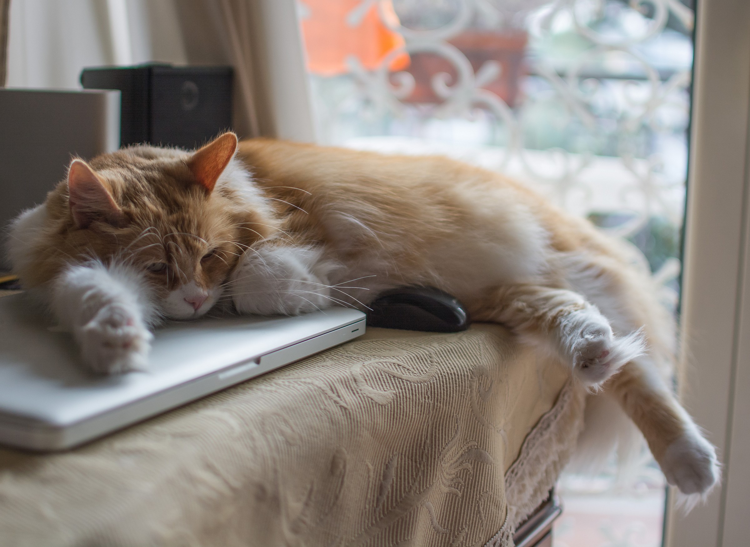 In that sense, the "your" computer?