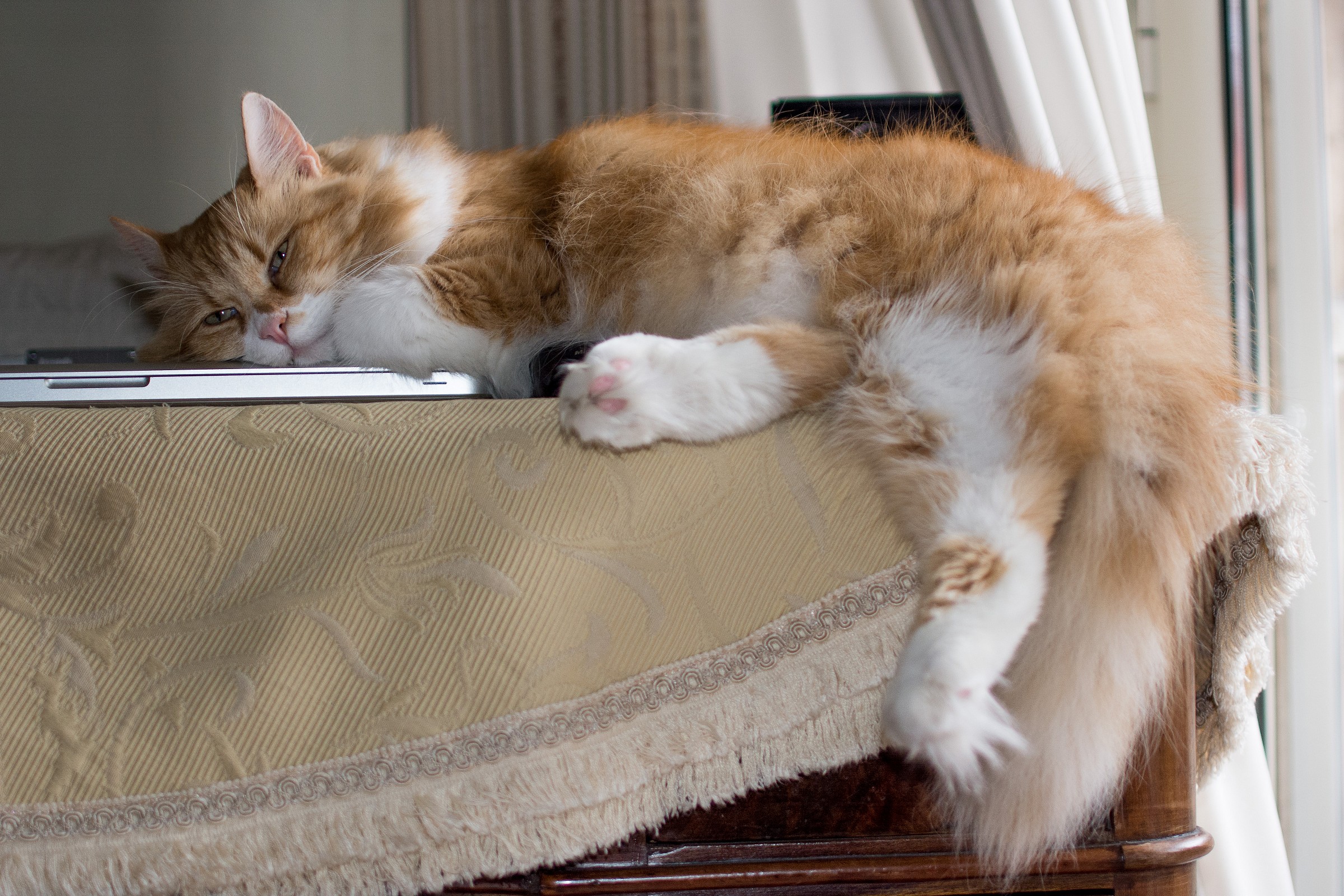 In that sense, the "your" computer? (2)