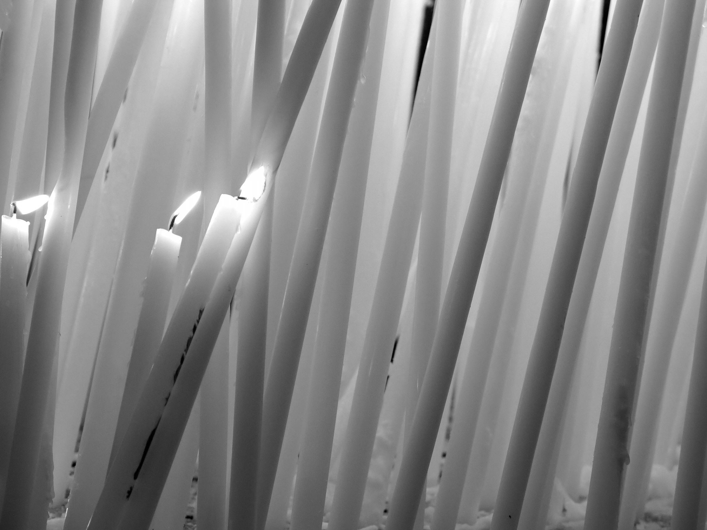 Festa della madonna della Salute: le candele