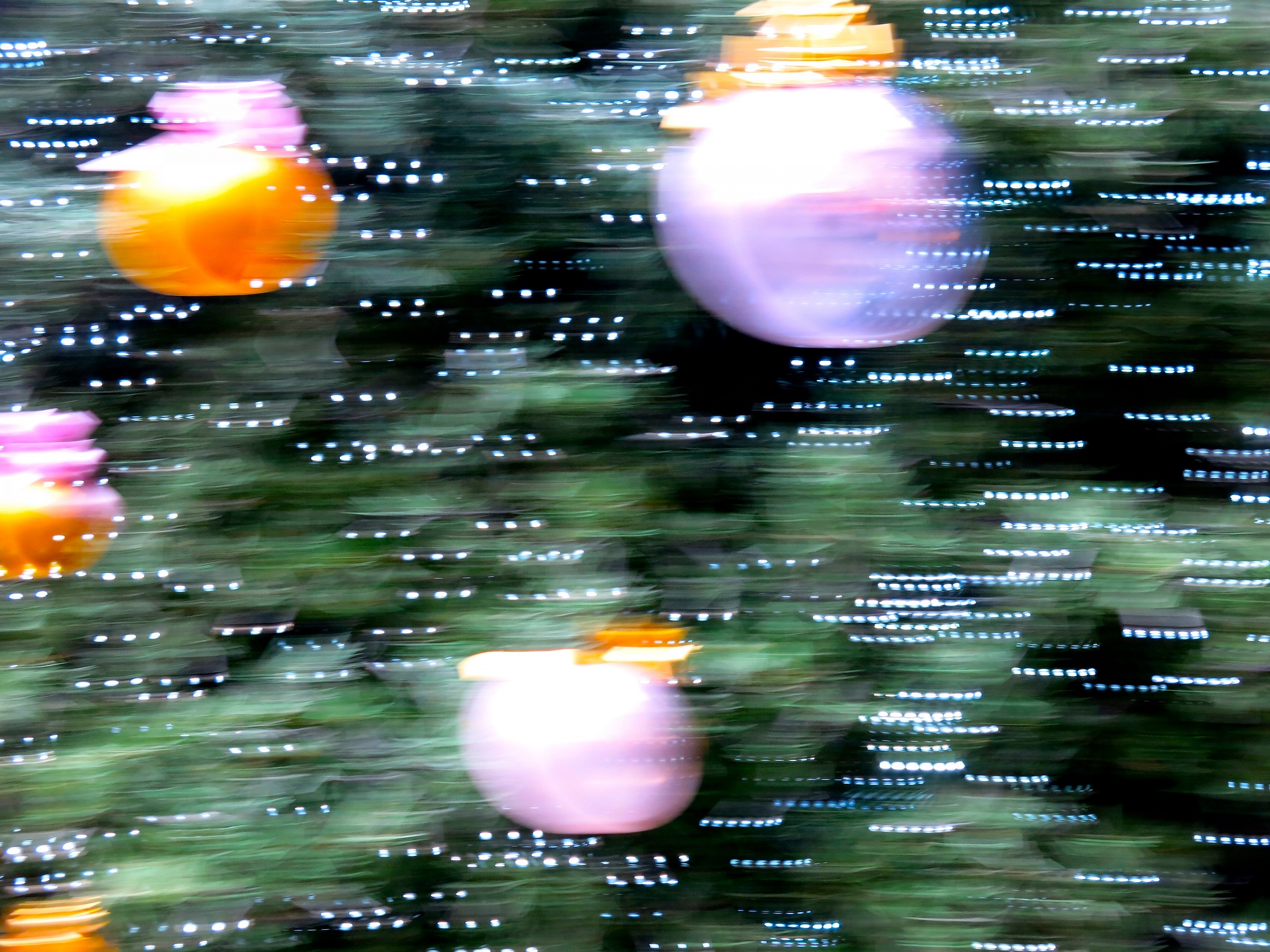 Verona 12: albero di Natale