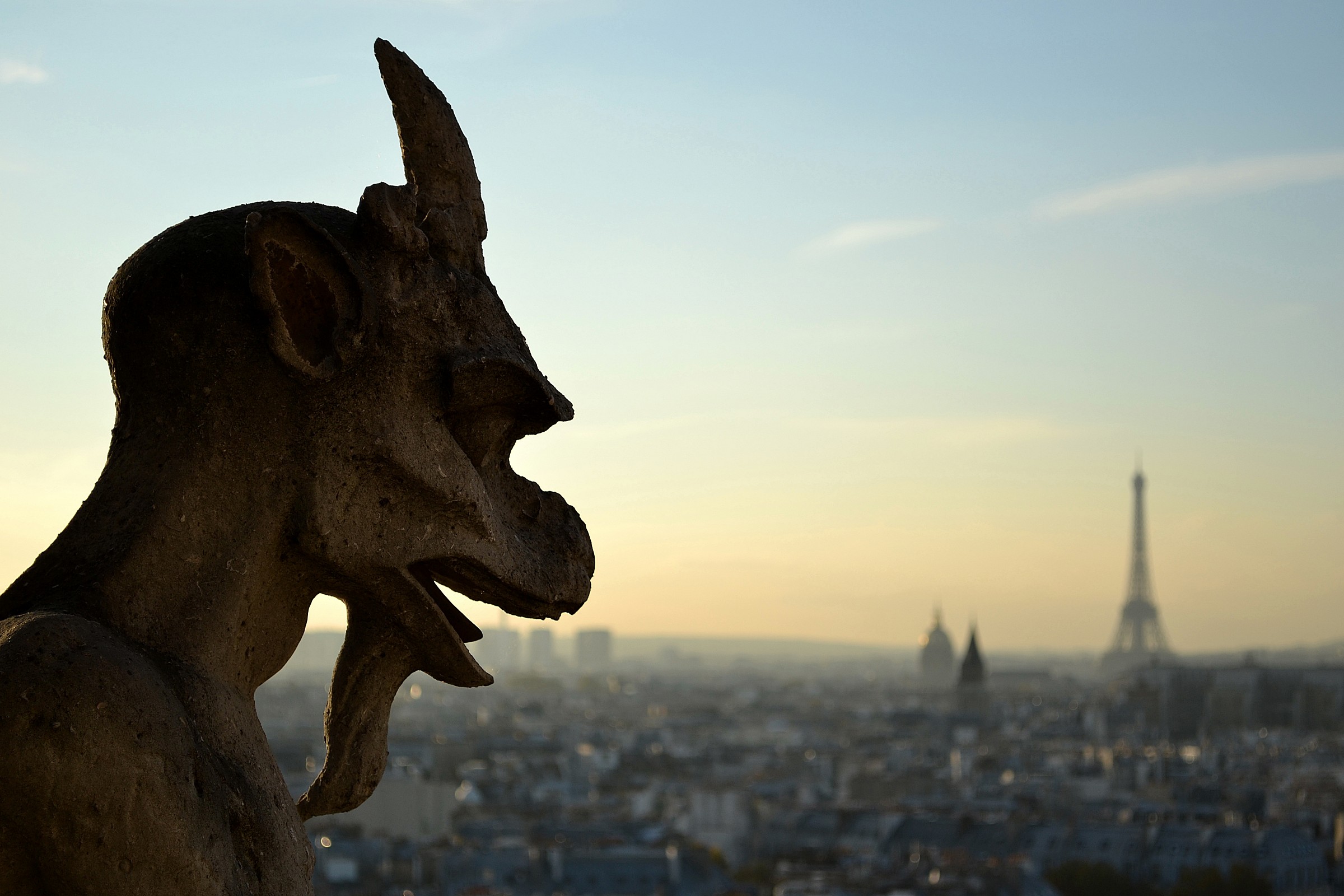 Paris from Notre Dame