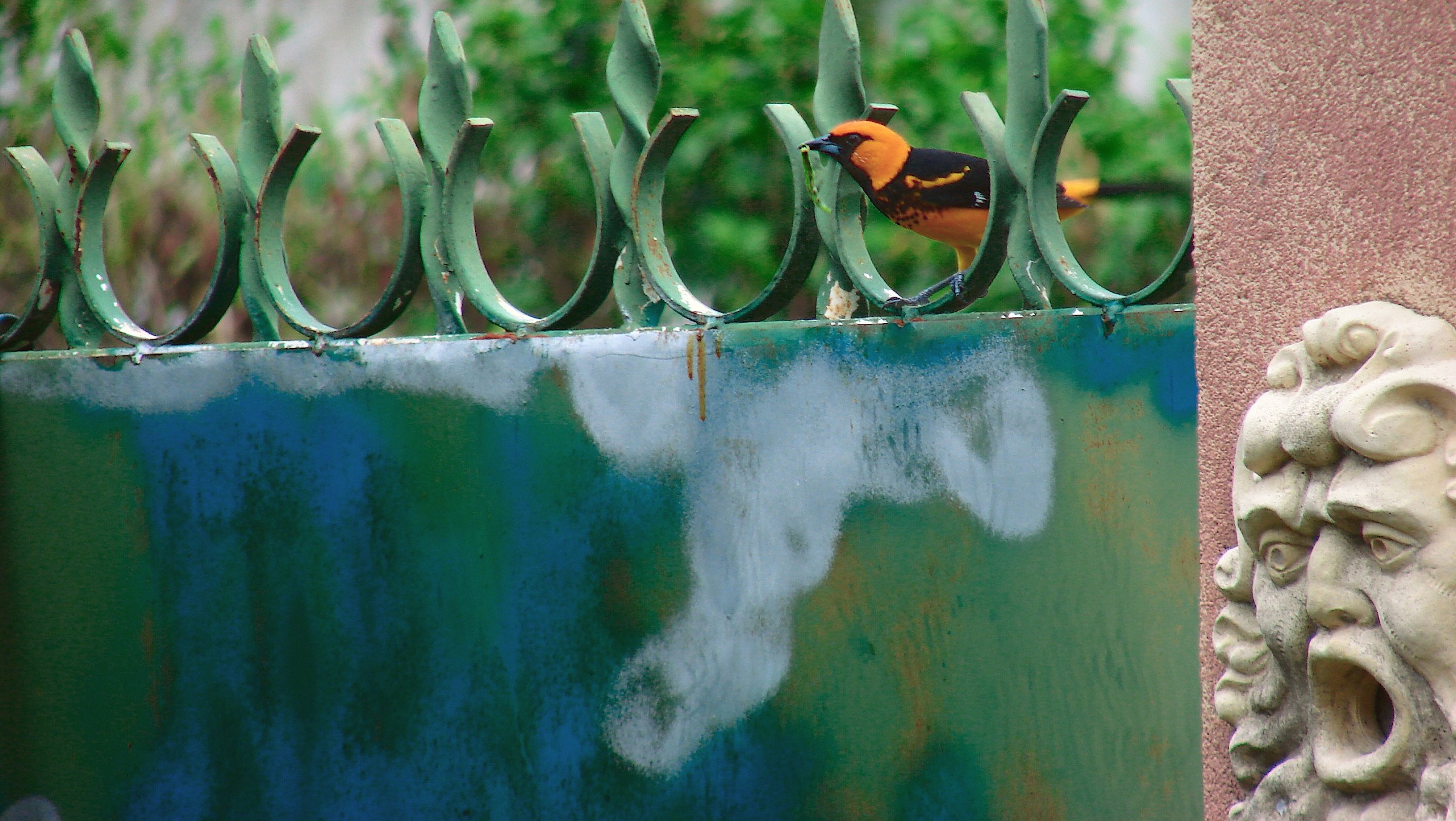 wuauuuuuu that quickly ..........