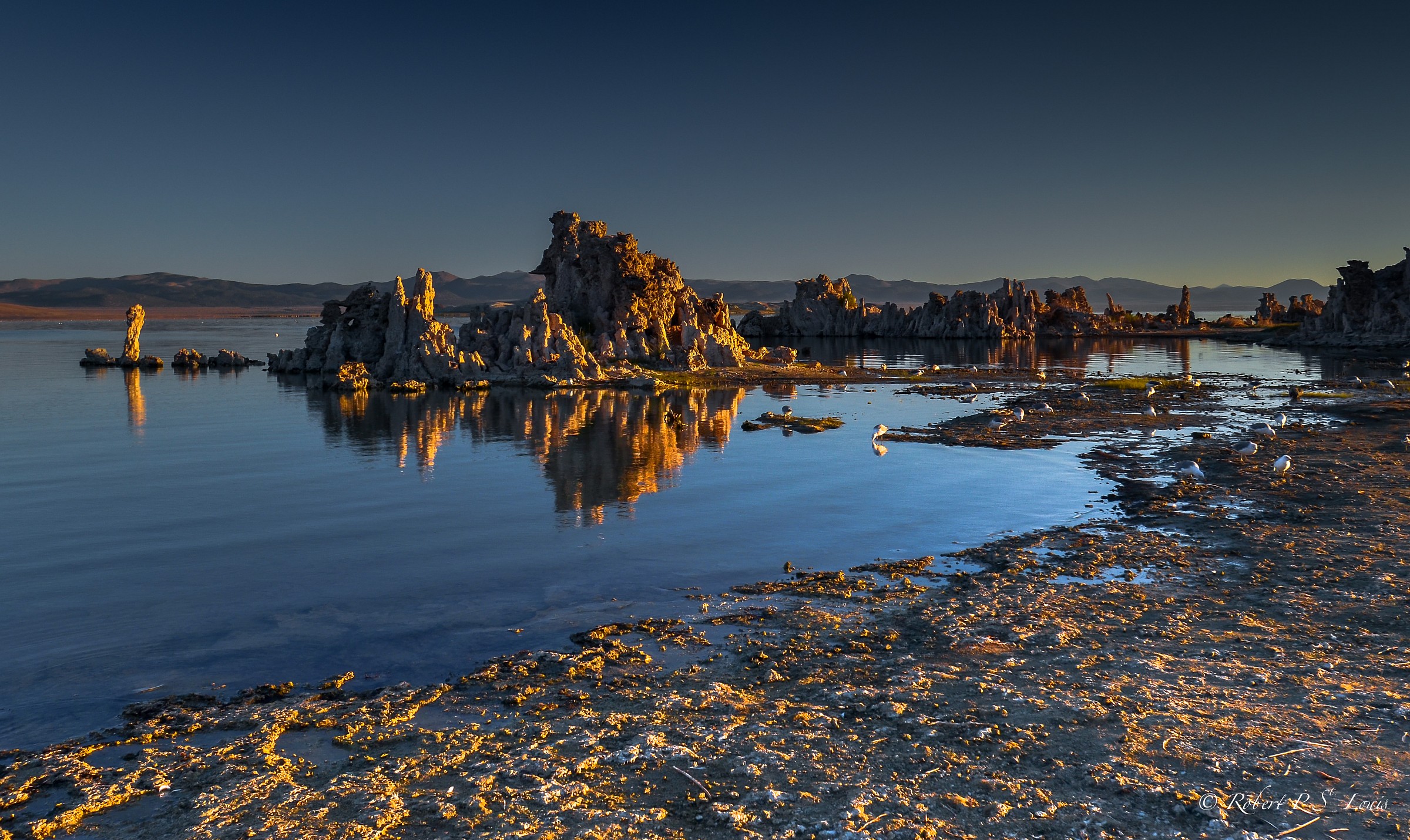 Alba a Mono Lake in California