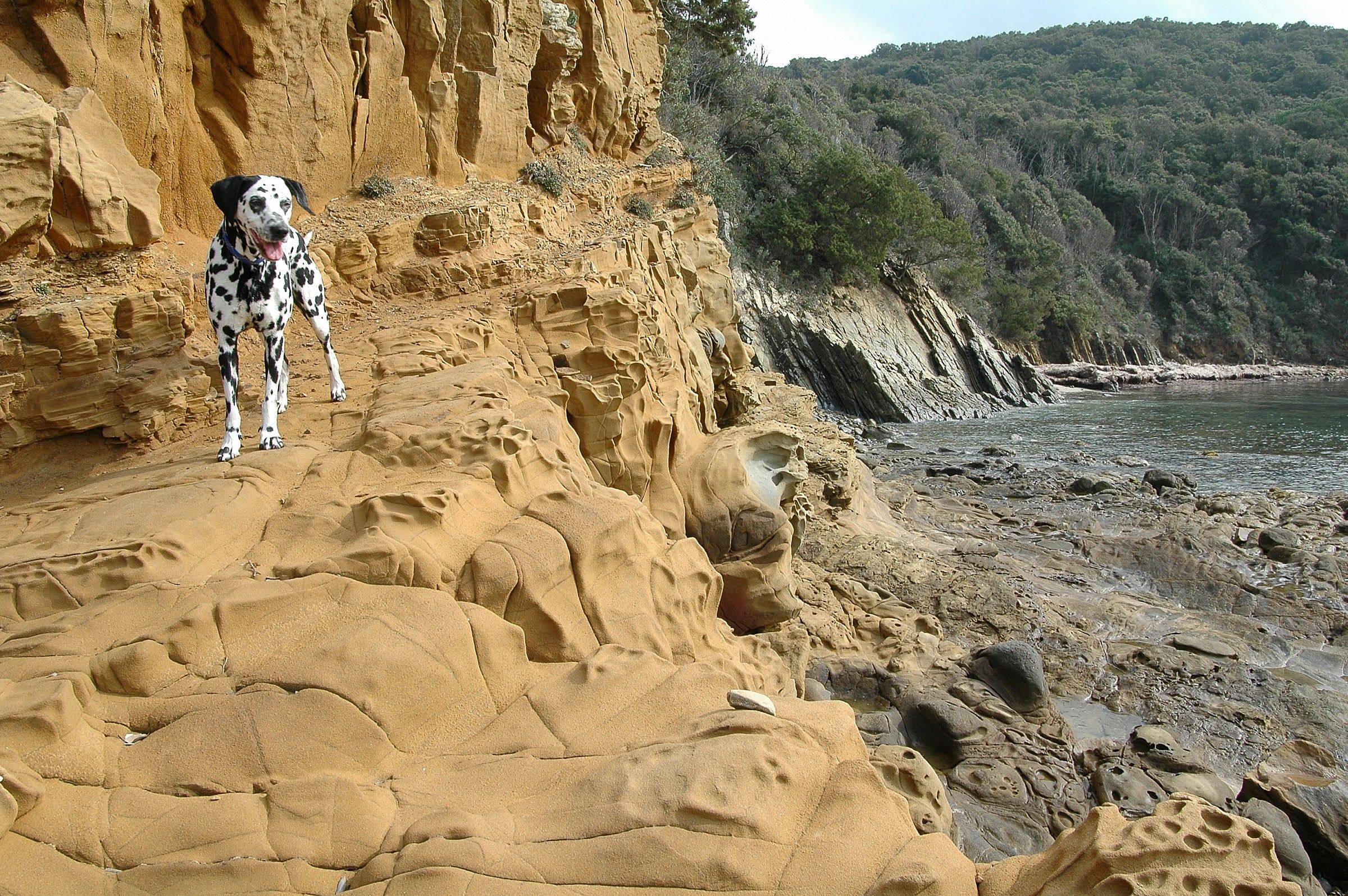 Spiaggia violina e Pongo