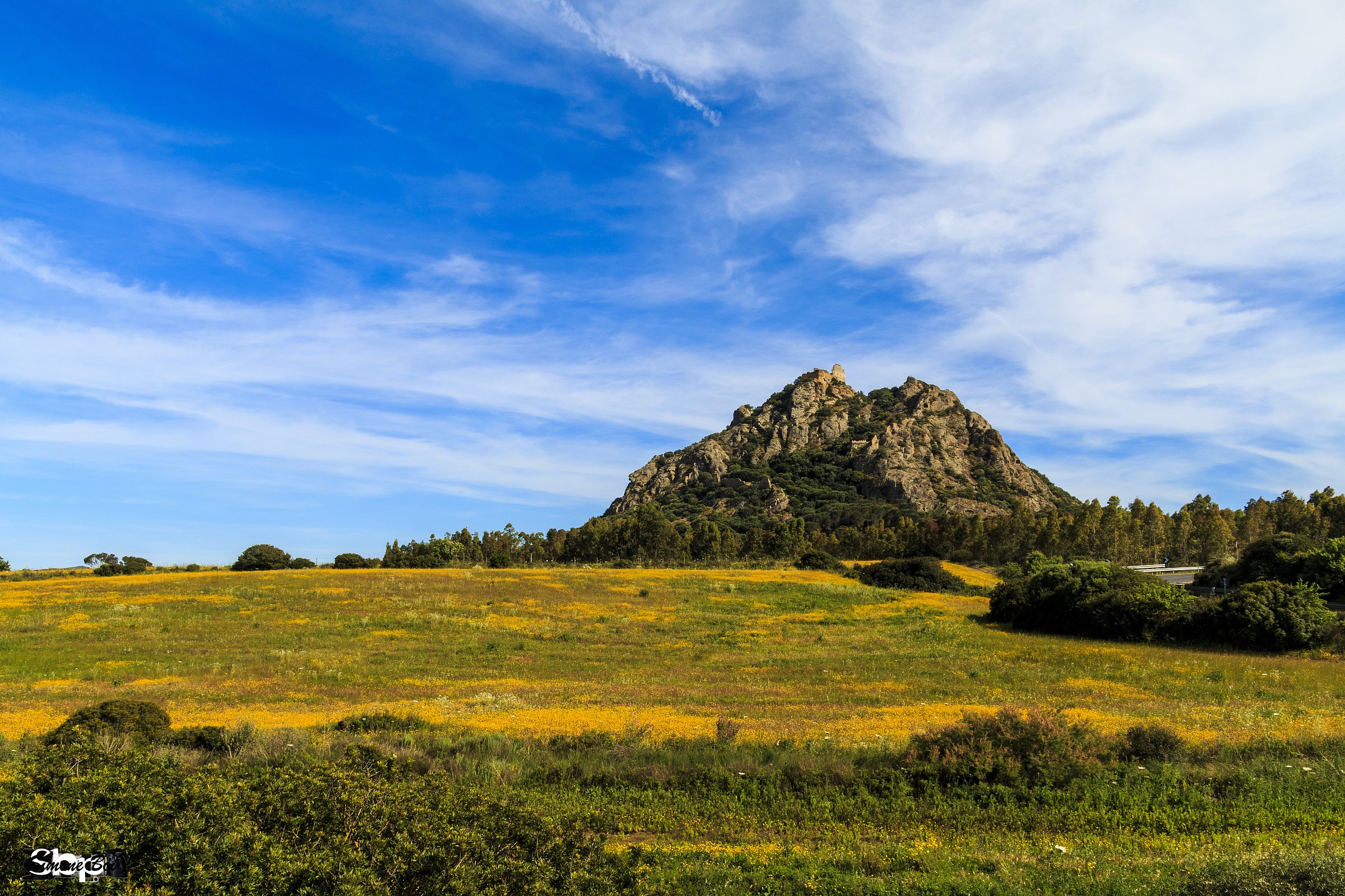 I colori della primavera