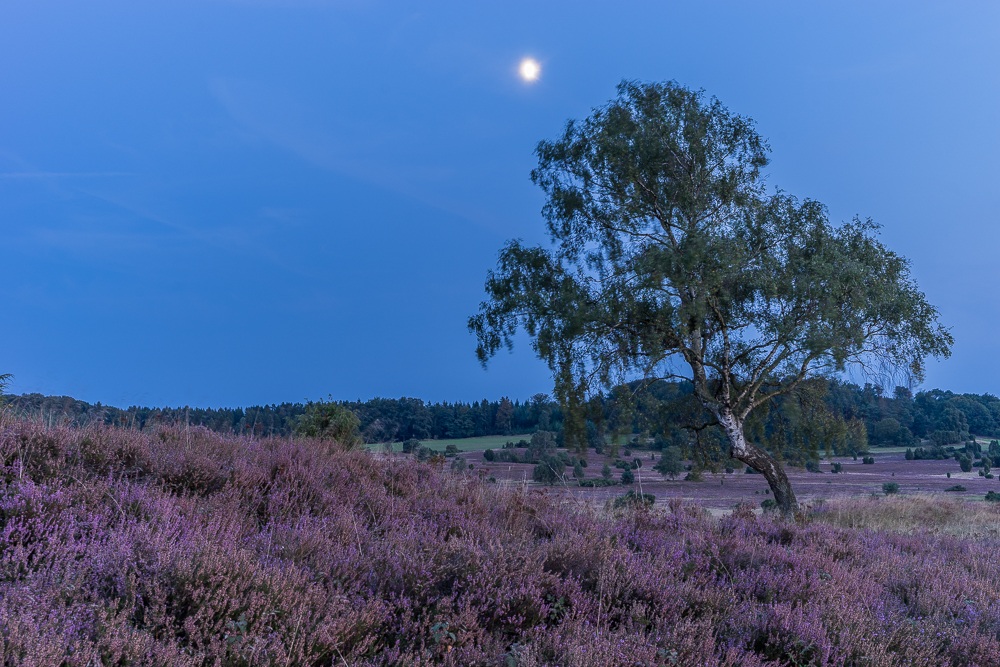 Mond ?ber Heide