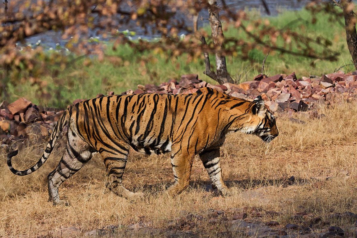 dopo una bella bevuta