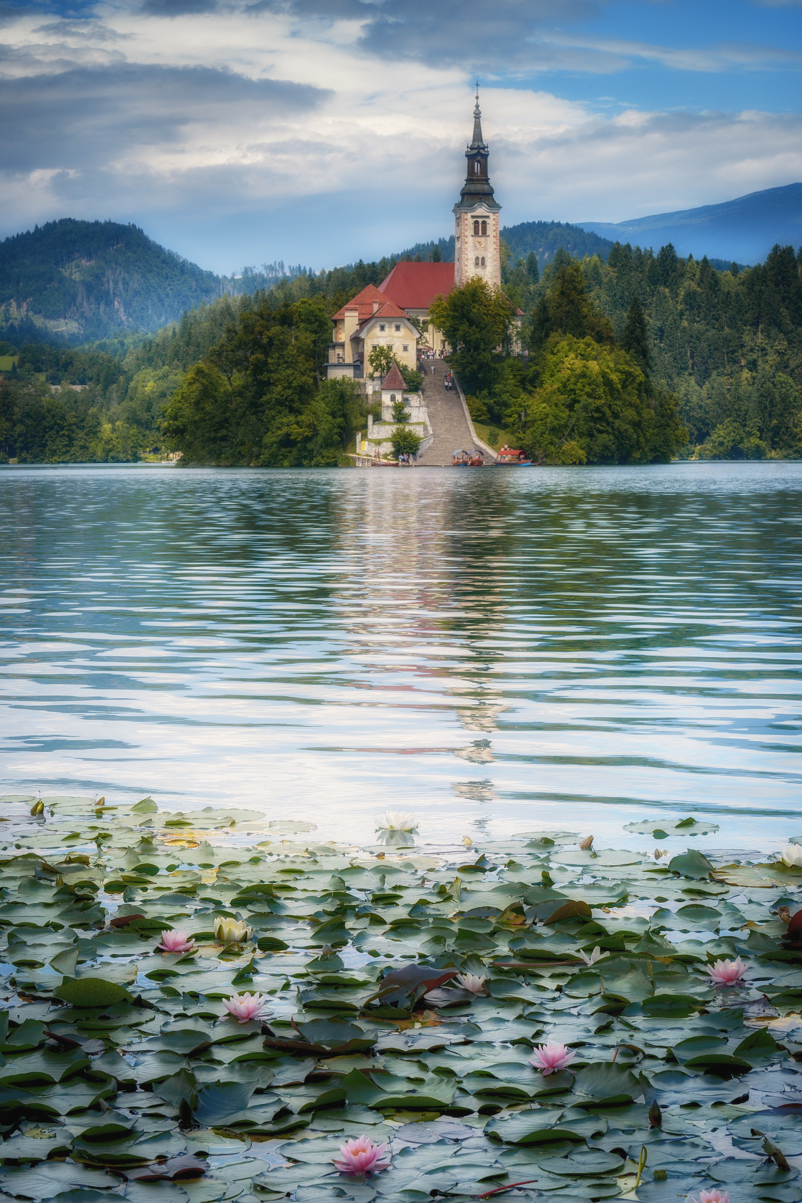 Bled Island