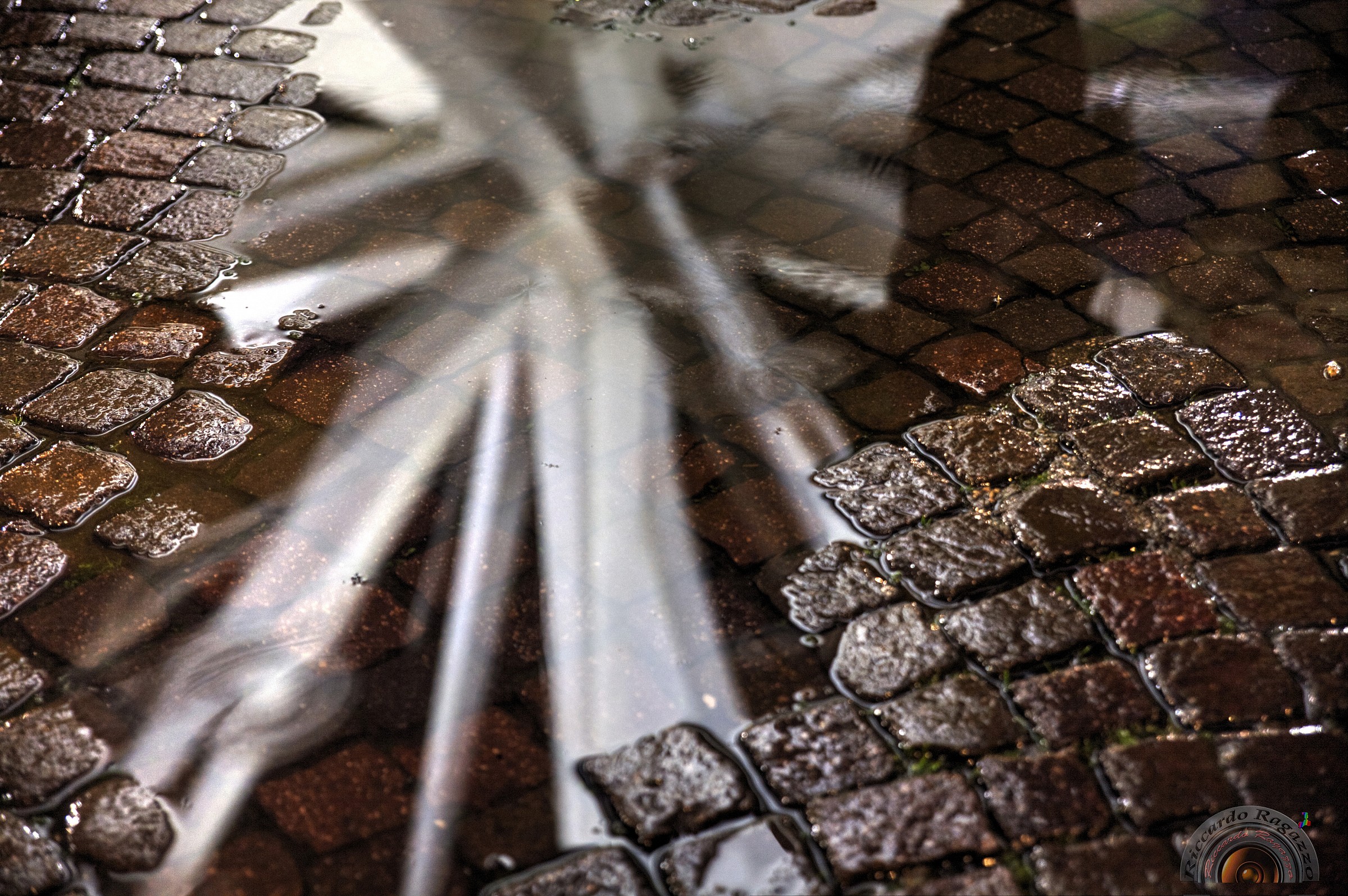 reflections of a star