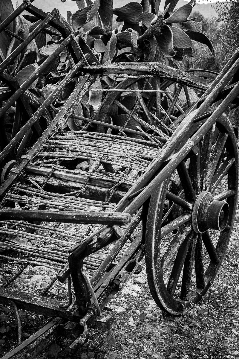 antico mezzo di trasporto