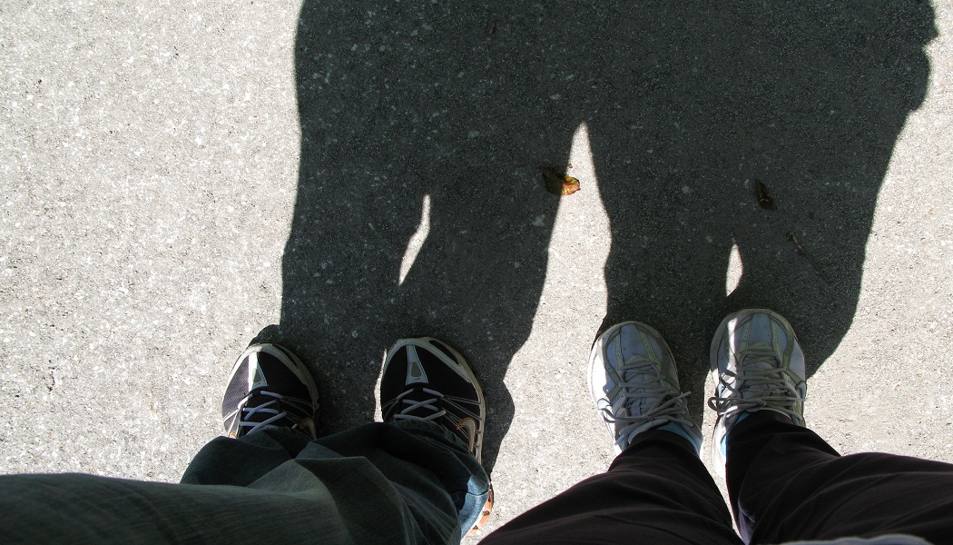 shadows on the steps