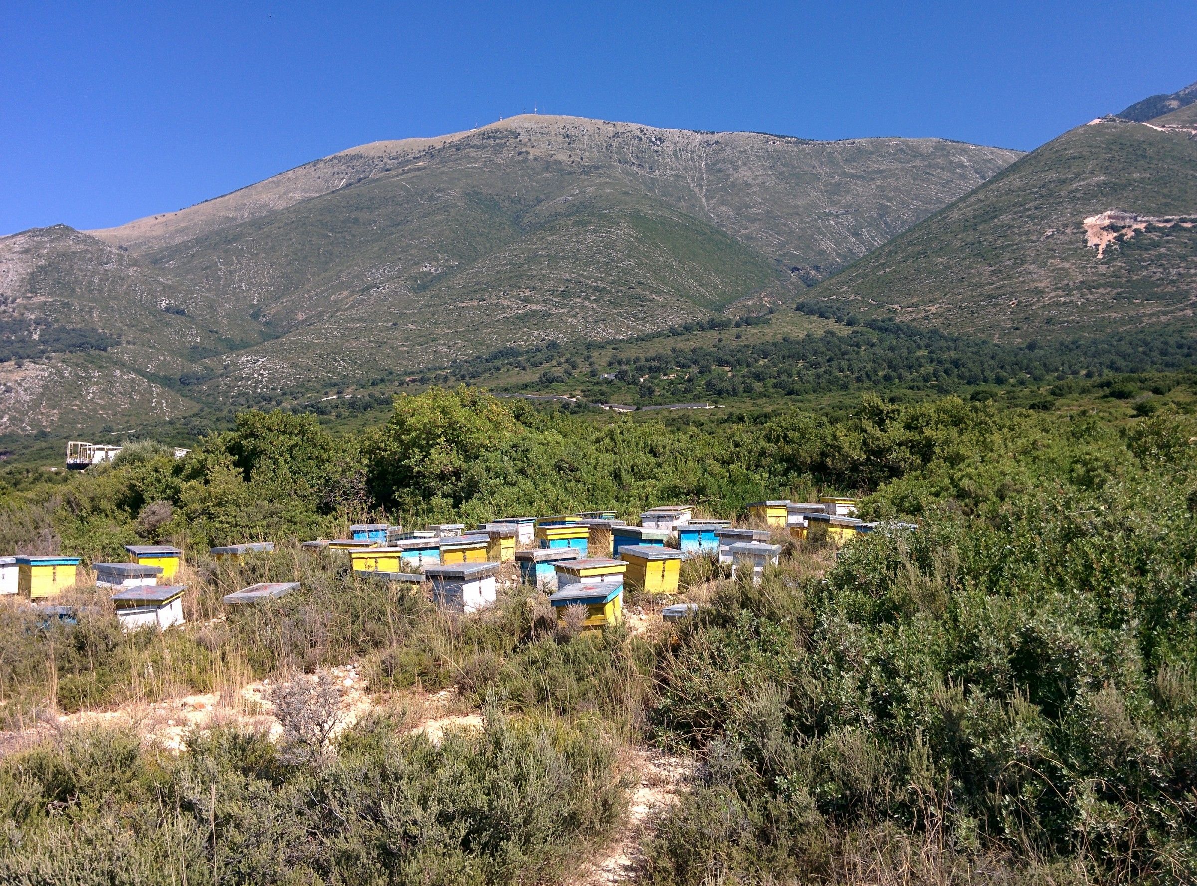Gestire la natura... Palasa Beach, Albania