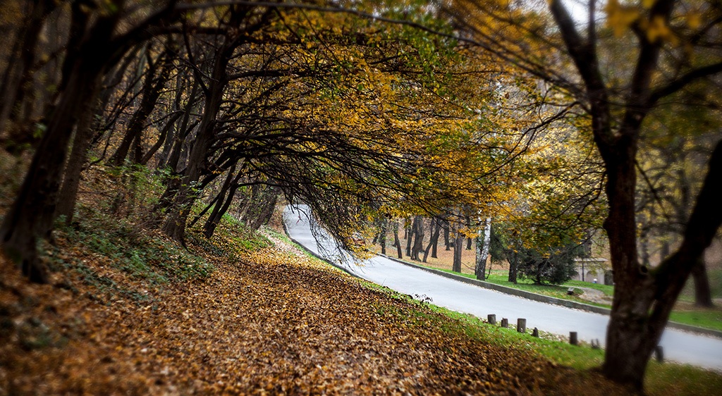 Pri_Helios 44_2_mg_9337