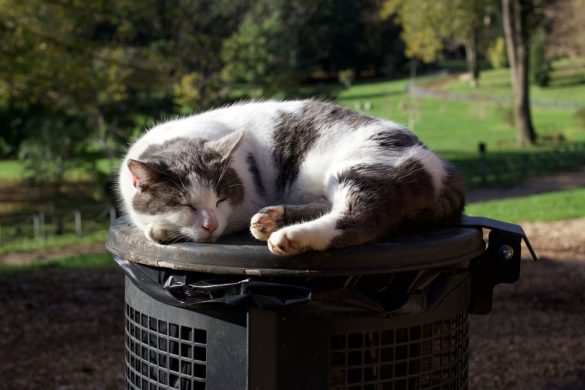 aspettate un attimo...