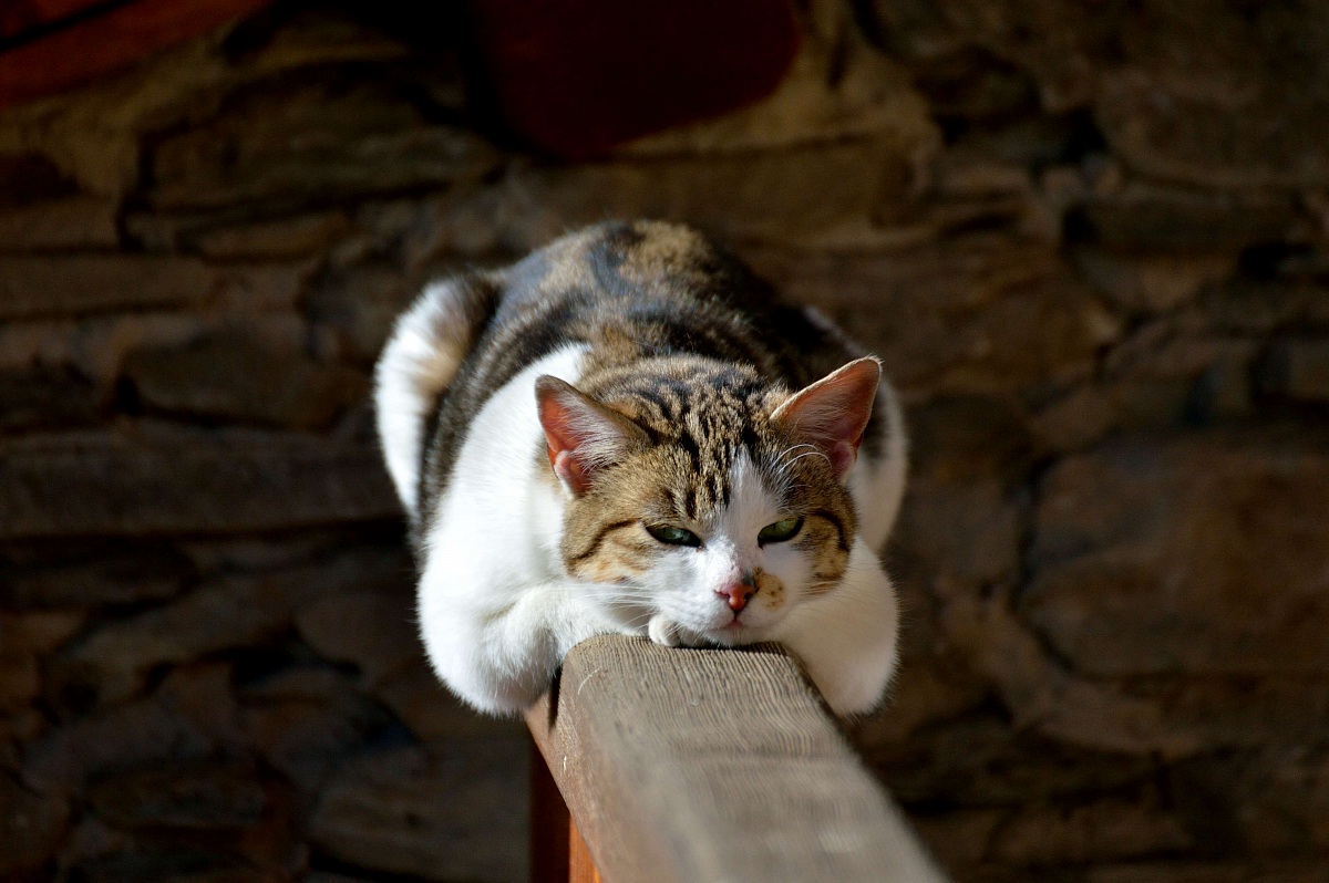 .....chi mi disturba?