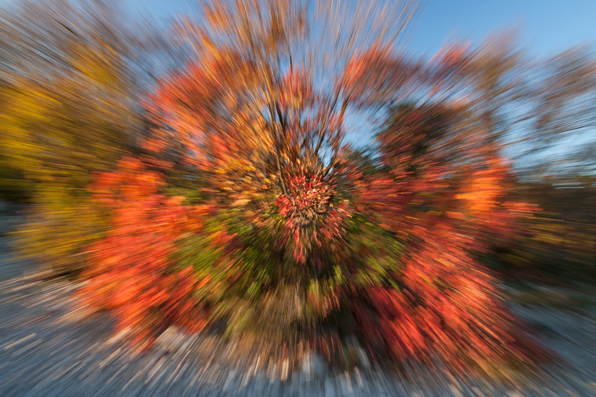 131128_003 Explosion of color