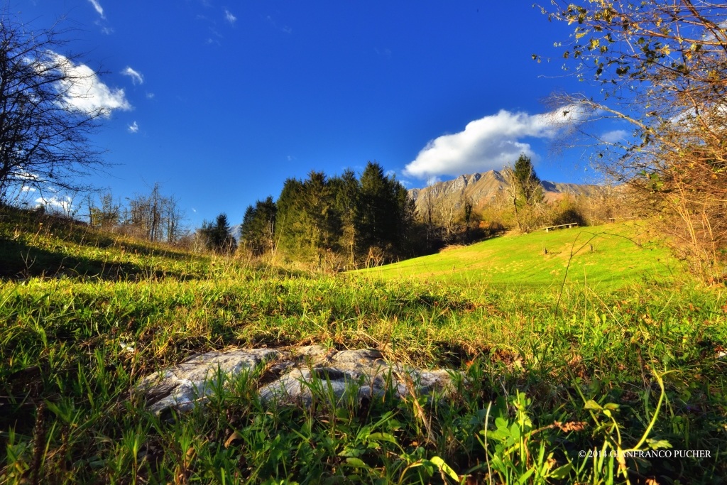 fields of performing