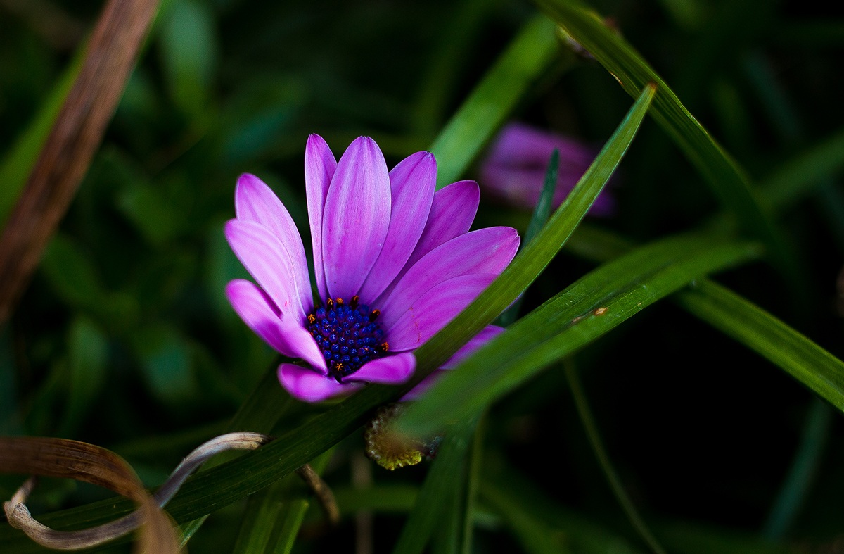 Ci sono anch'io...!!!