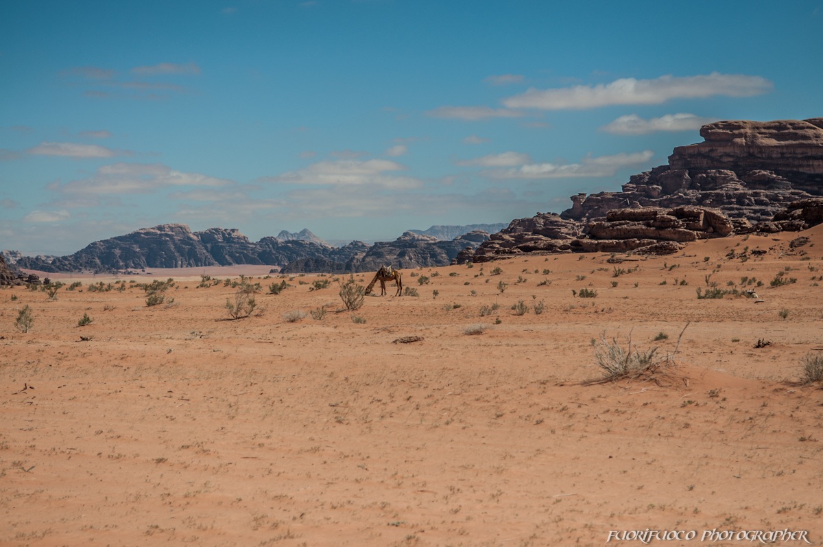 Wadi Rum