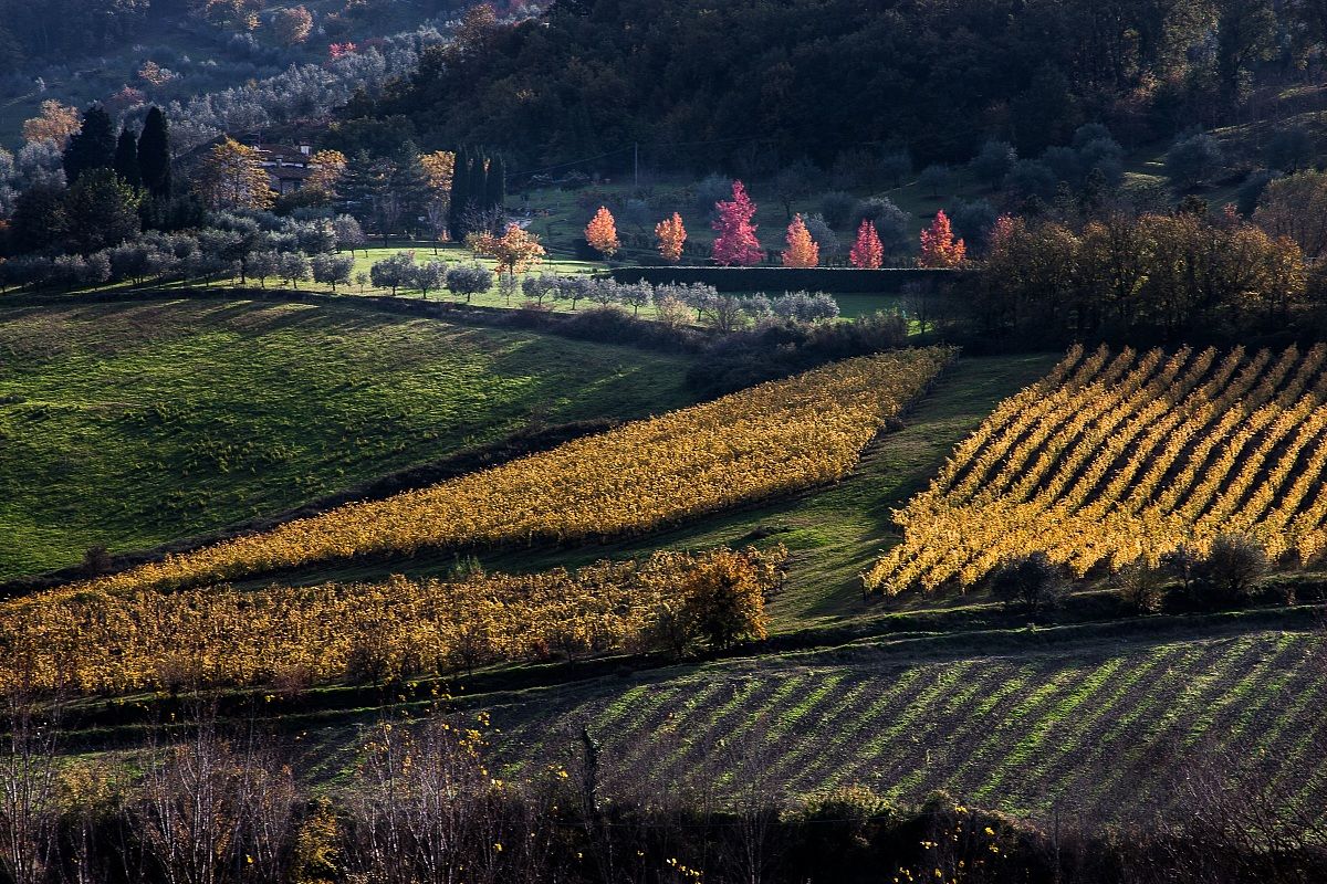 i giardini di Volognano