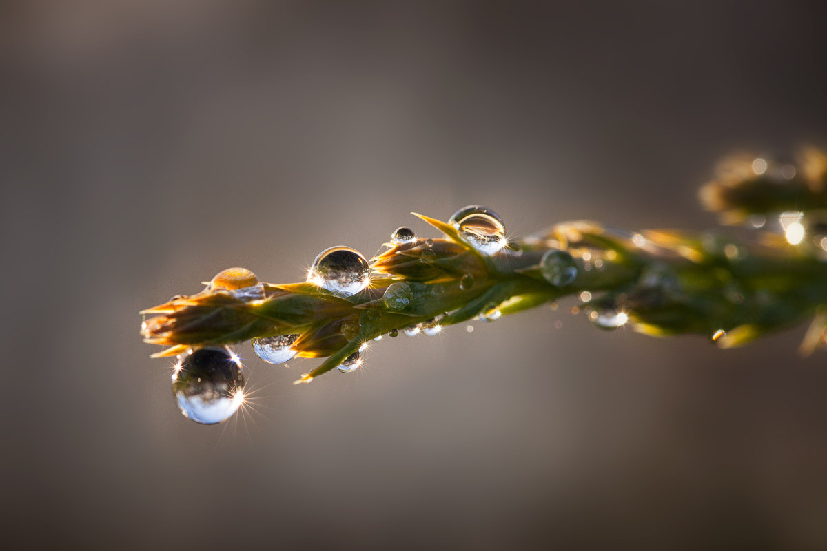 quando arriva il sole