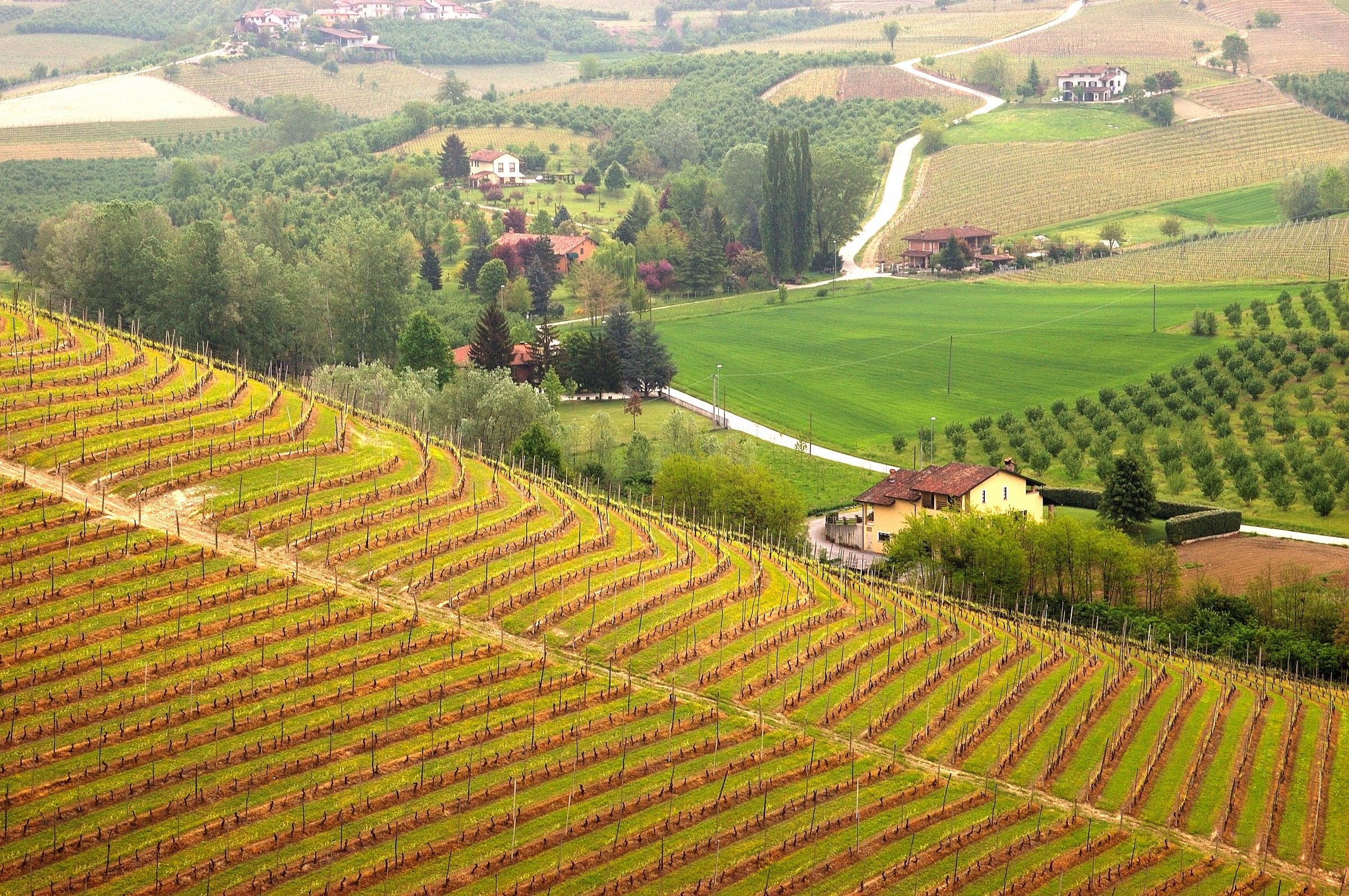 Grinzane Cavour - Panorama