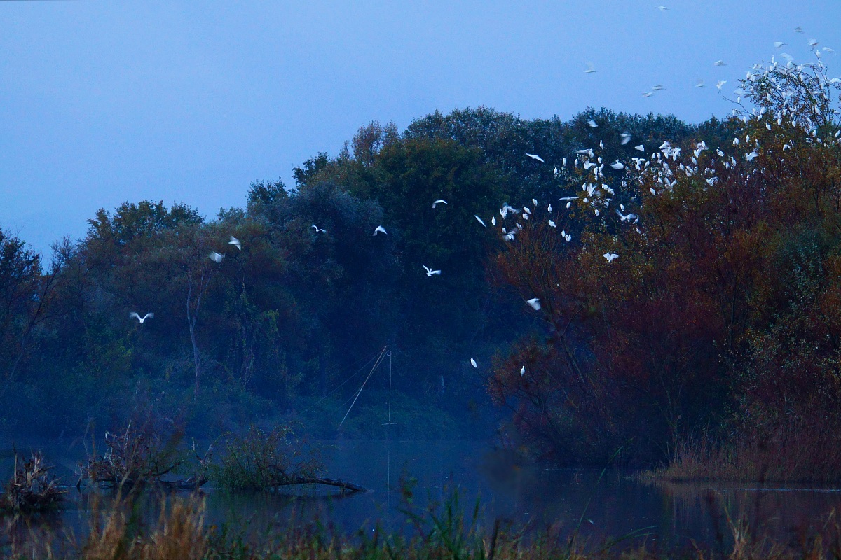 Atmospheres of autumn ...