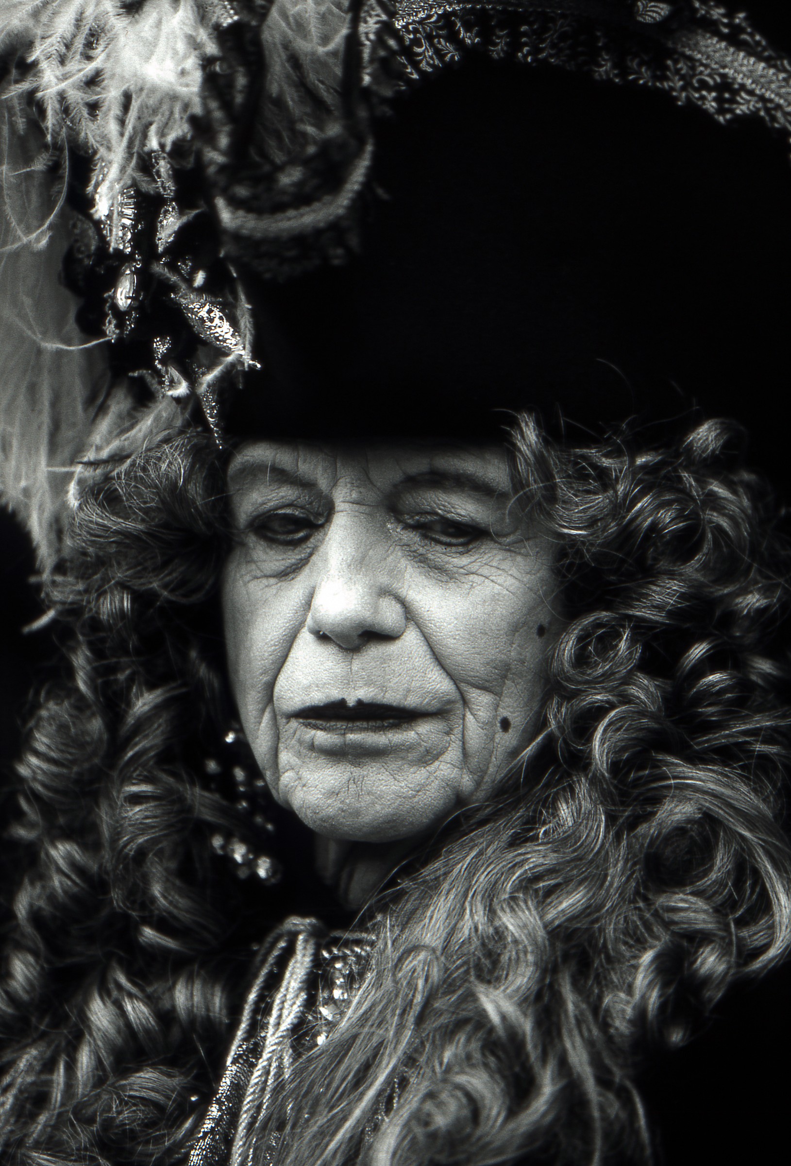 dal carnevale di venezia -