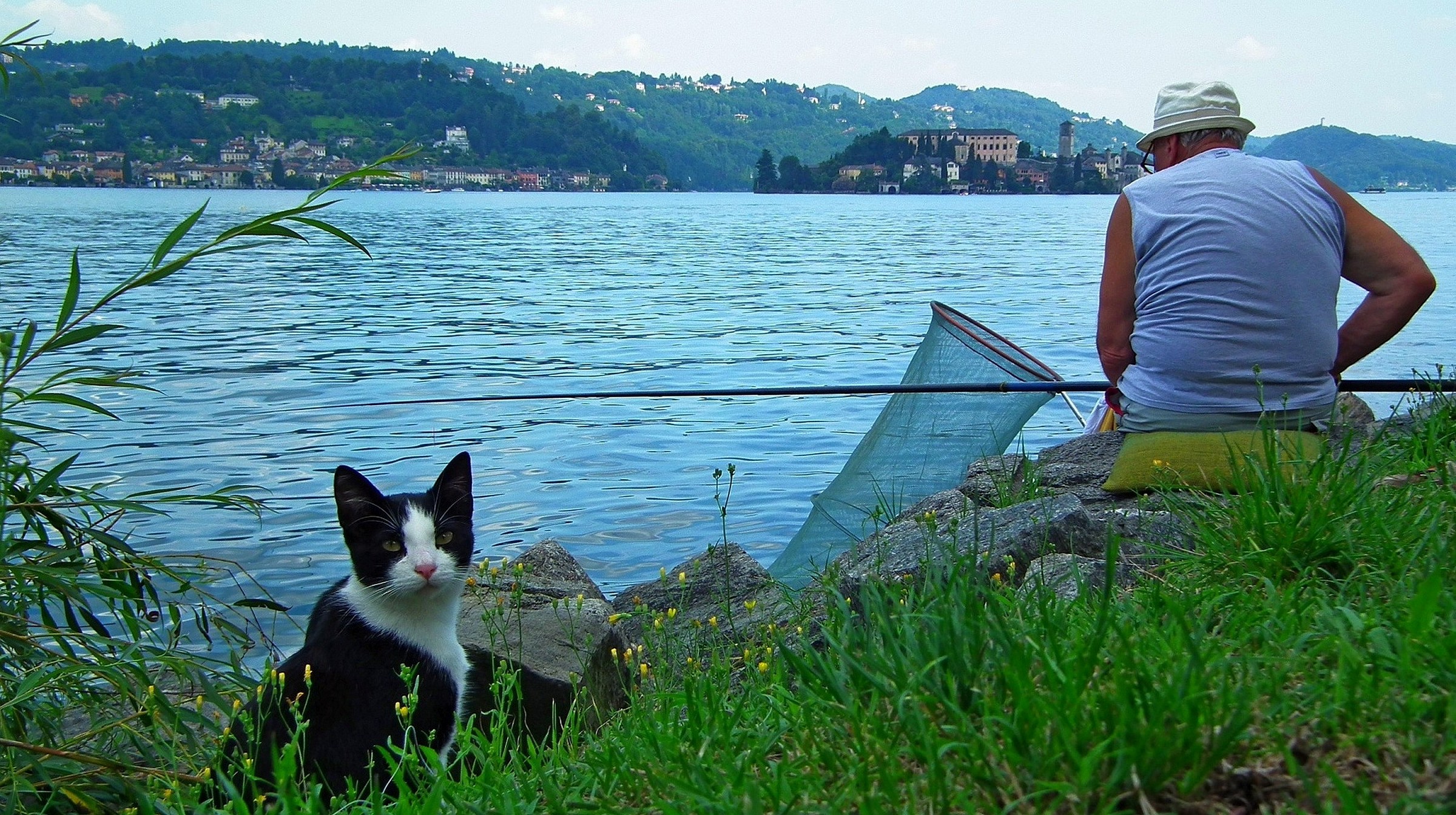 L'attesa per un gustoso pranzetto