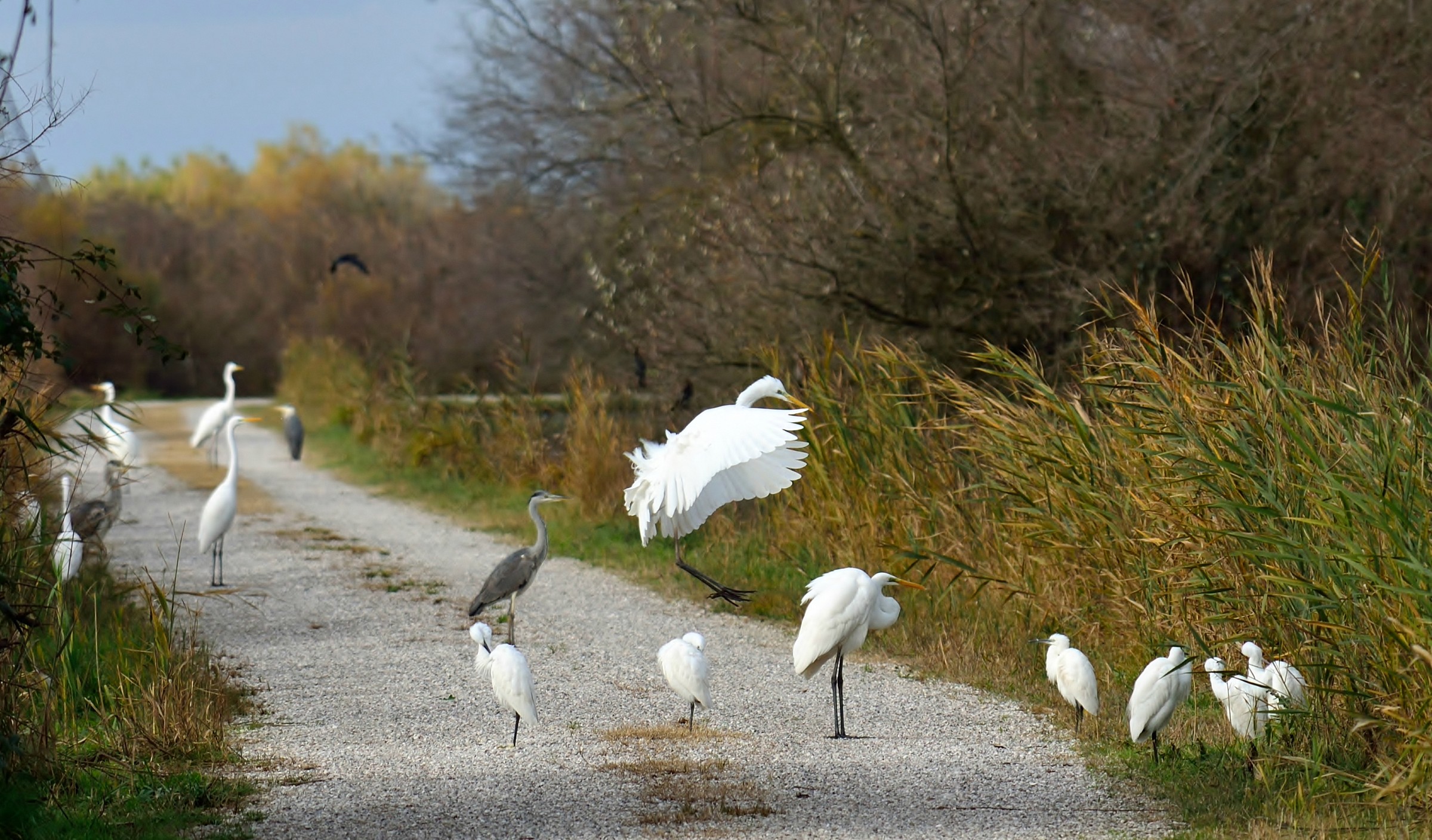 Riunione di condominio
