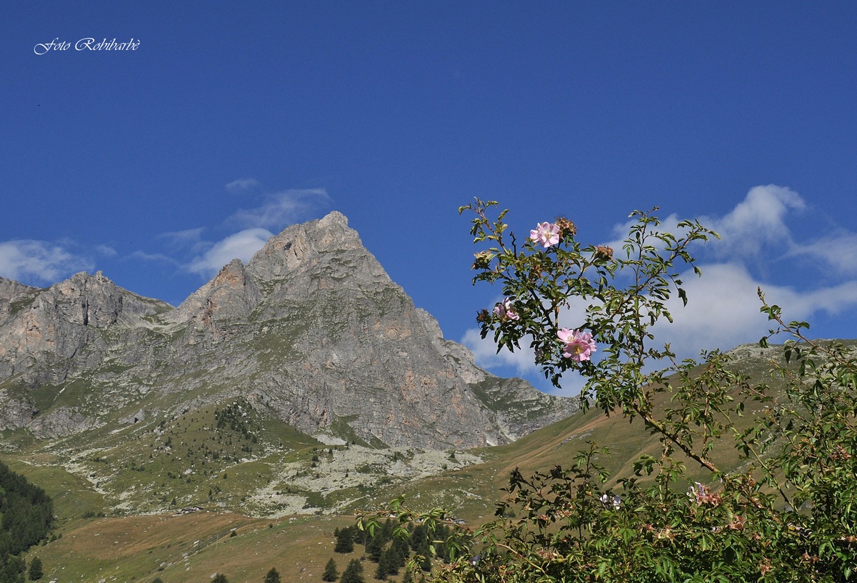 Saluti dal Chersogno.....