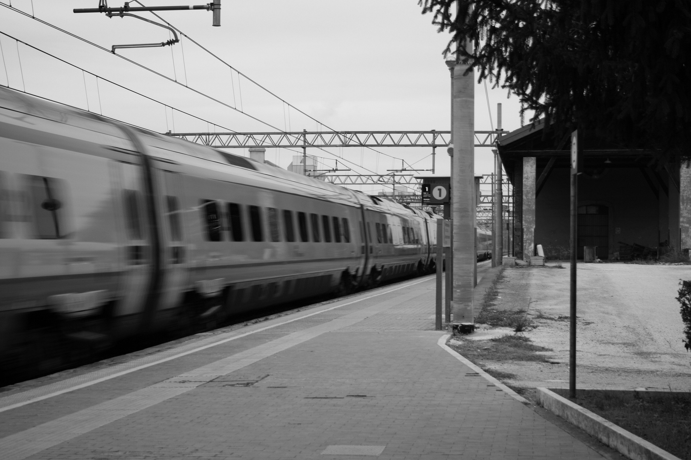 il treno