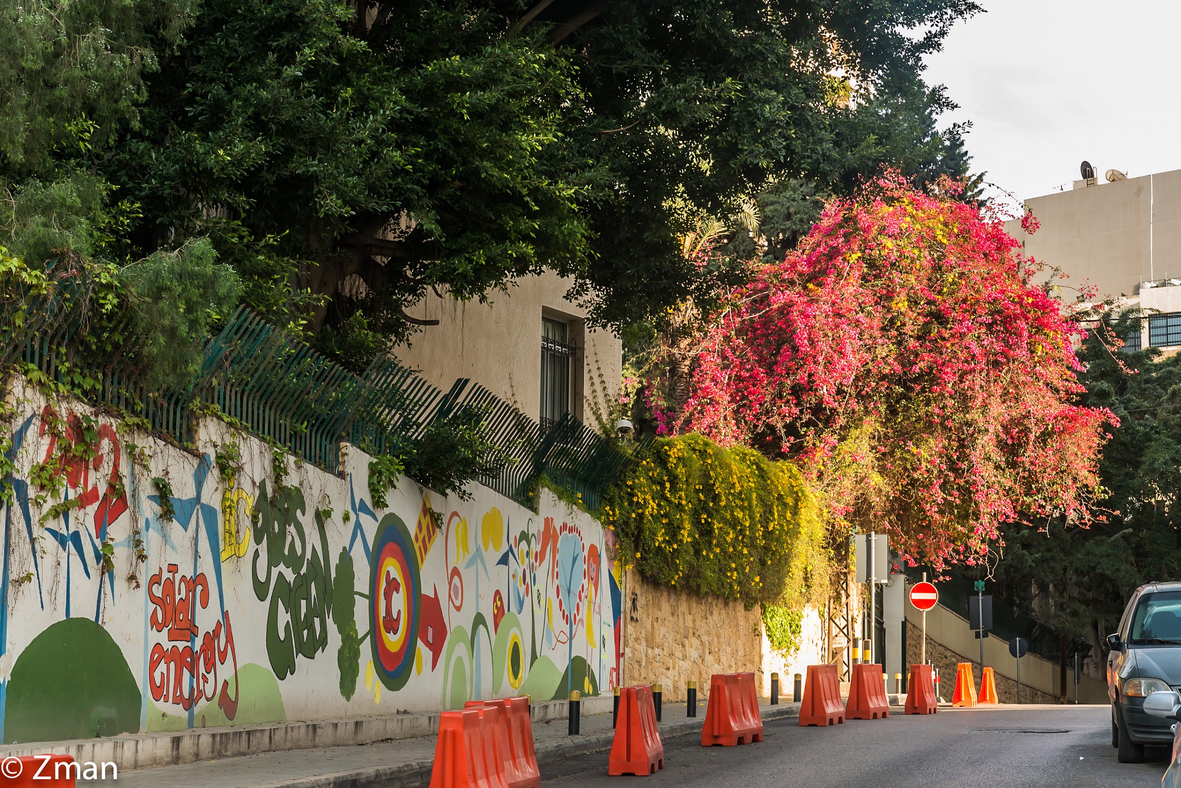 La strada per il mio college "Il Collegio Internazional...