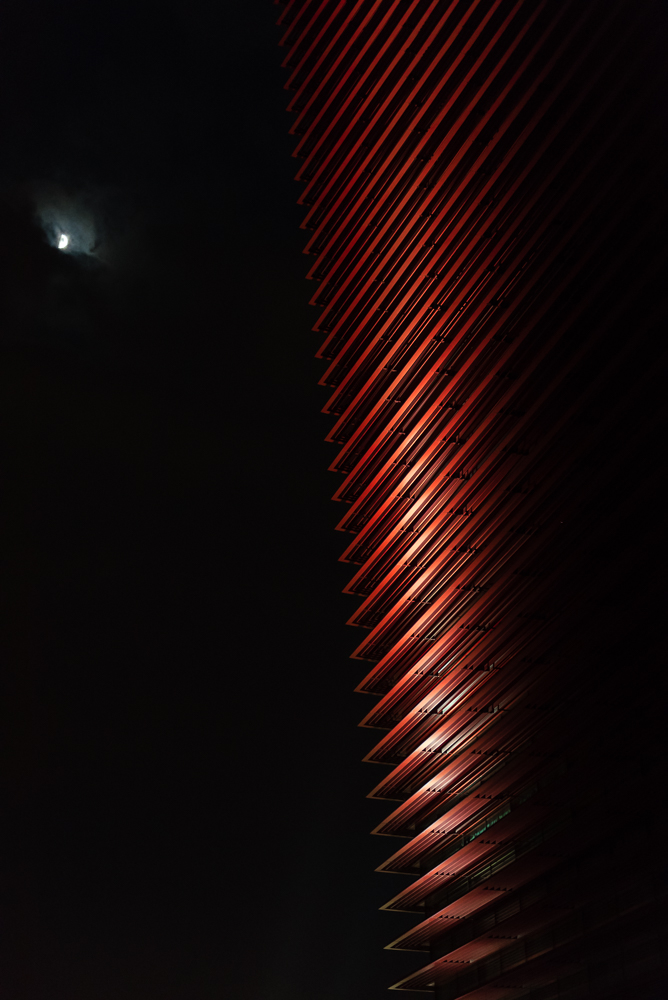 Il pettine e la luna