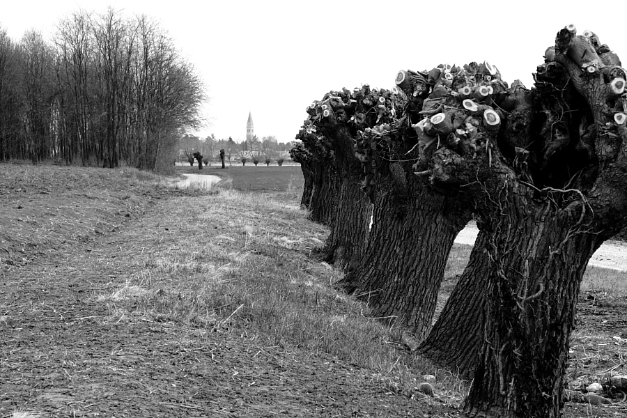 Mulberry-like sculptures