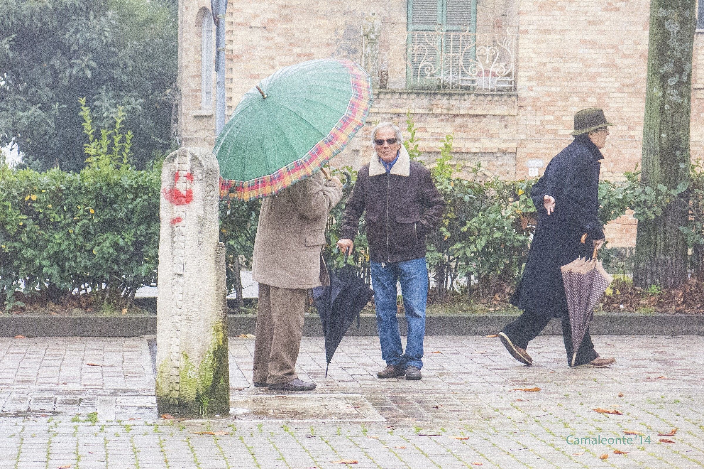 ombrelli e composizione