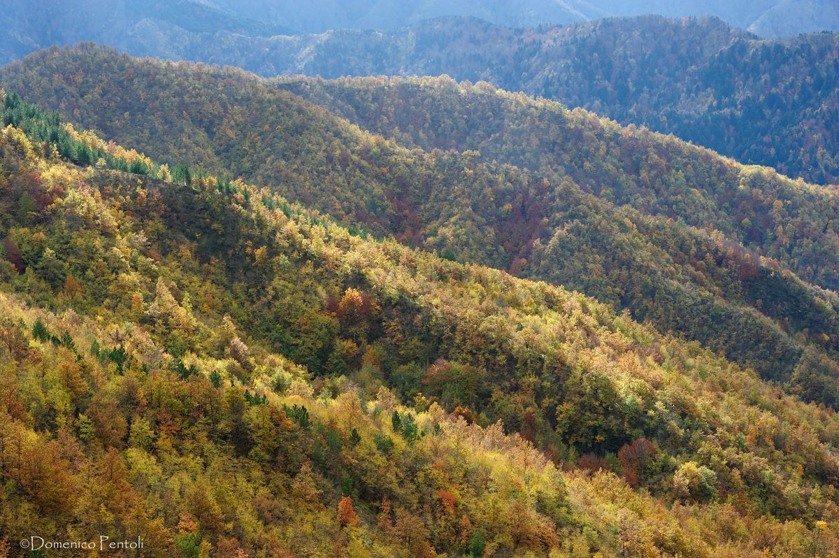 I Colori dell'Autunno