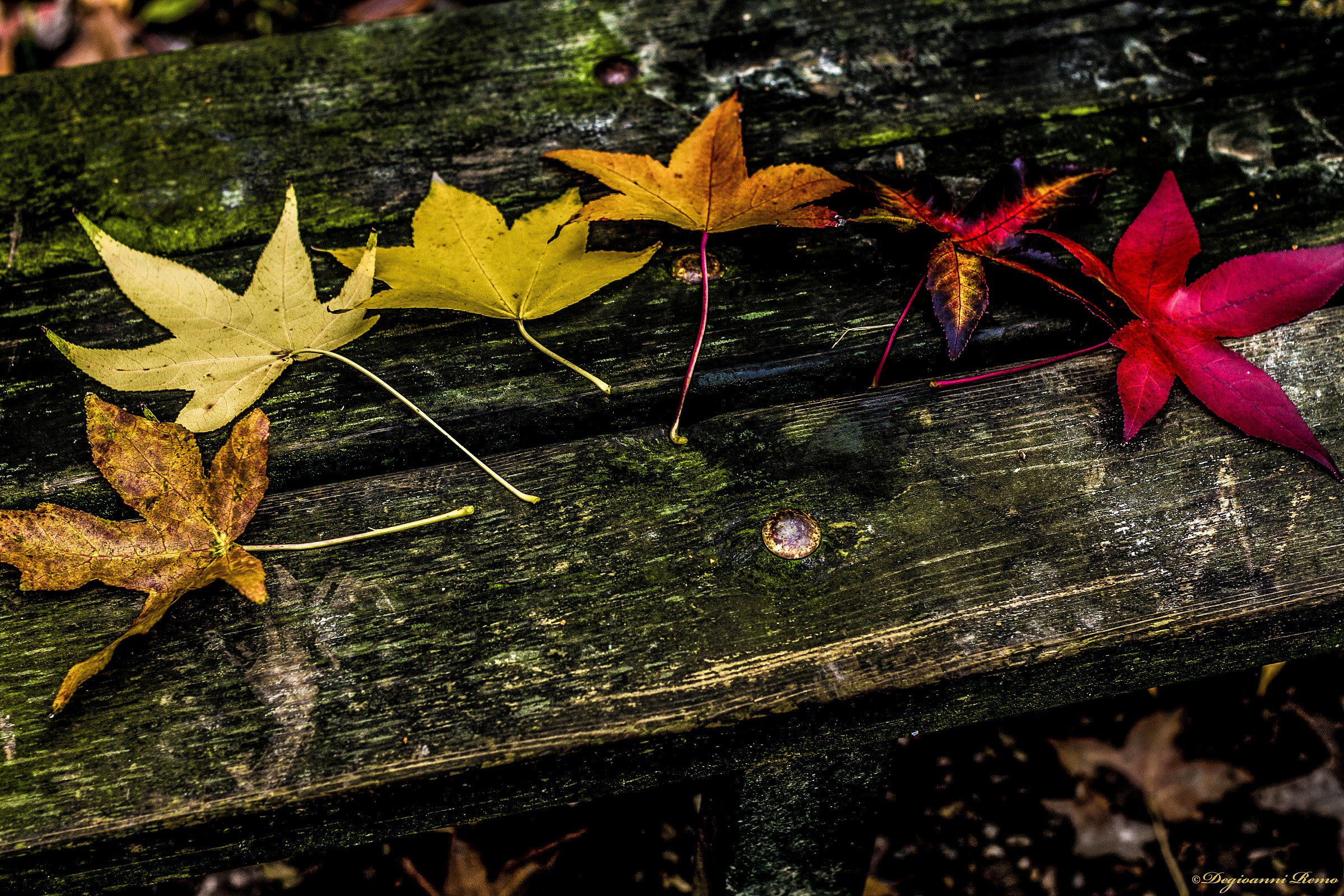 United colors autumn ..