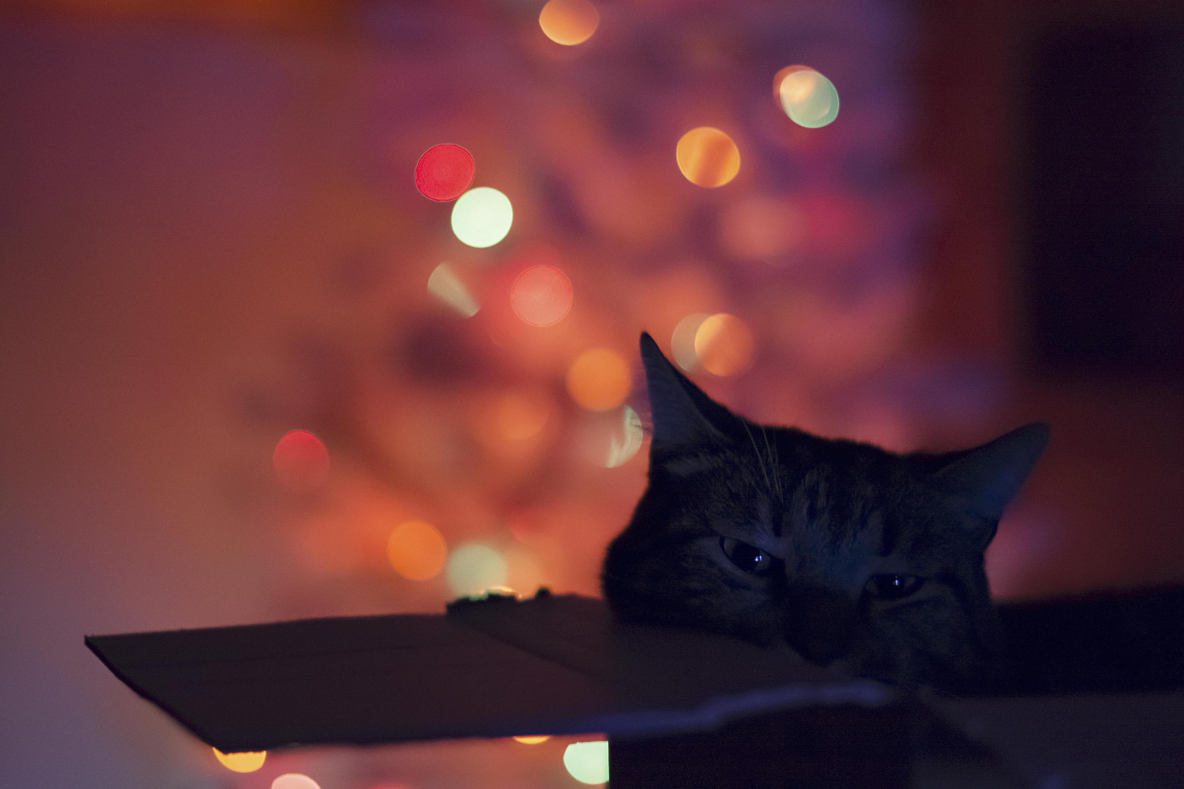 Christmas atmosphere