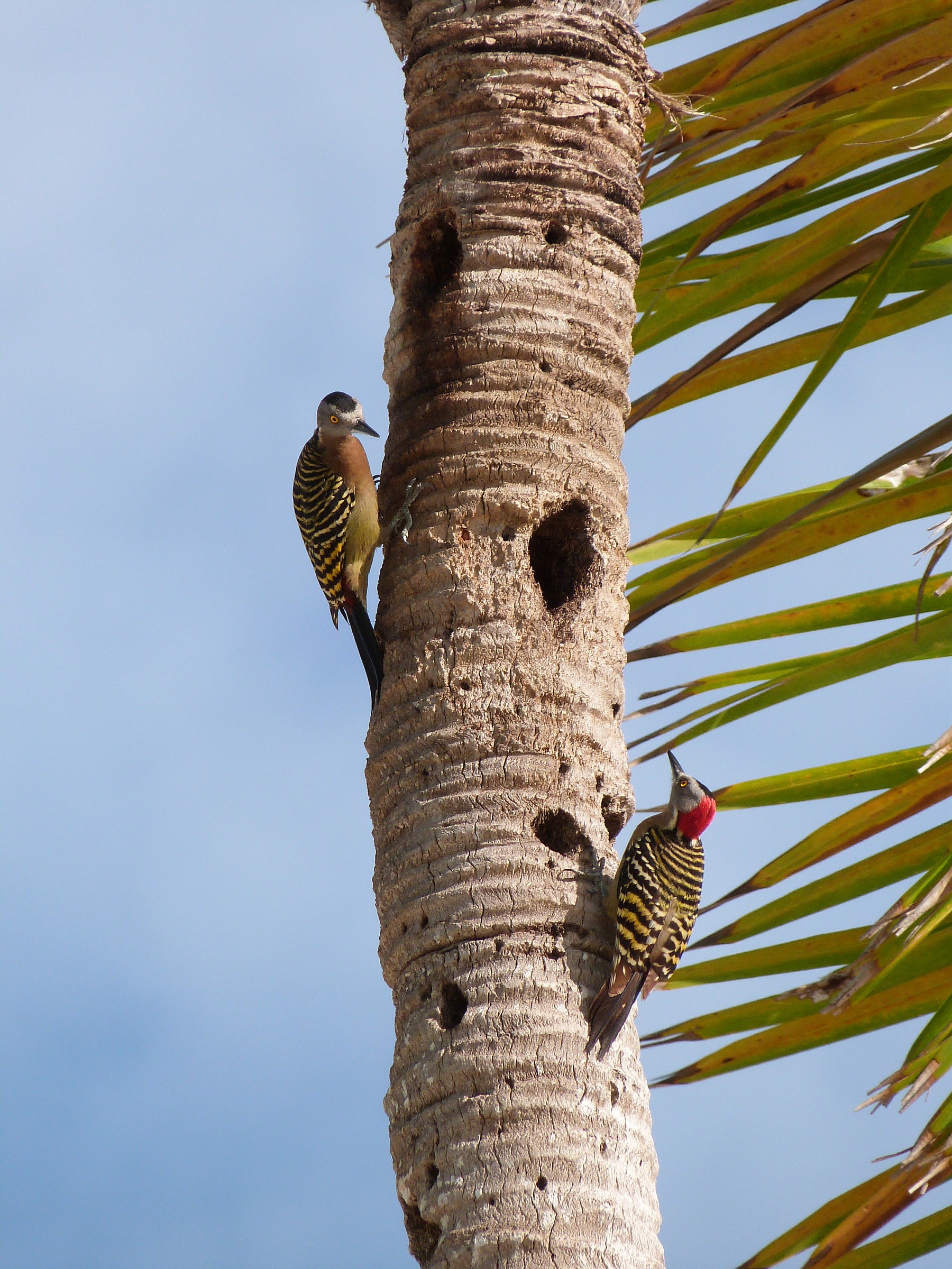 ...questa è casa mia!!