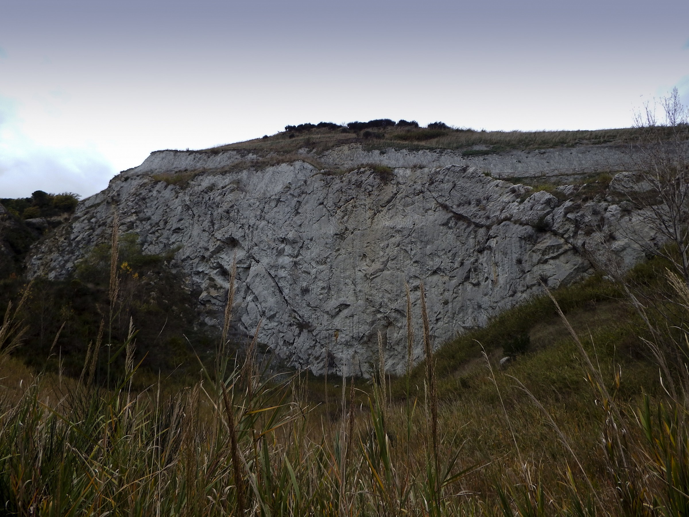 Brisighella vein of gypsum