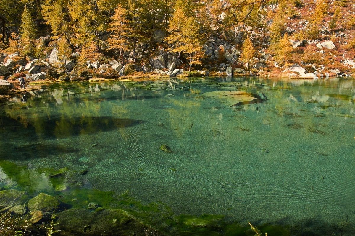 perfect transparency II