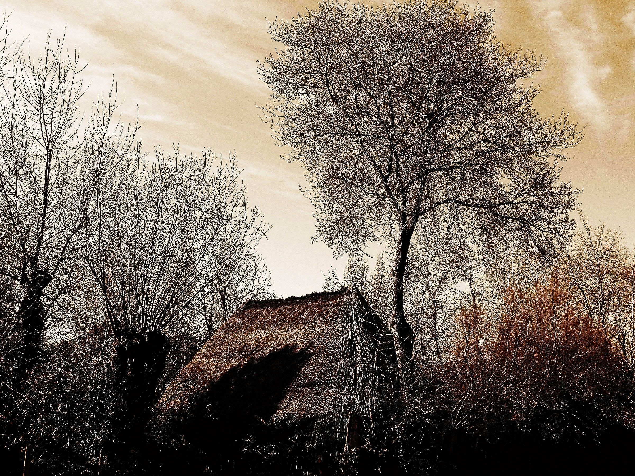 africa ????? no ... caorle (ve) in autumn